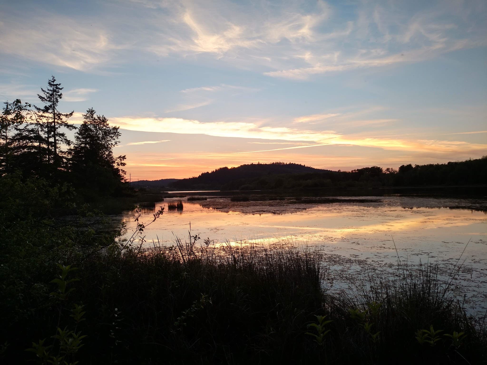 East Kirk Park - Junction City, OR