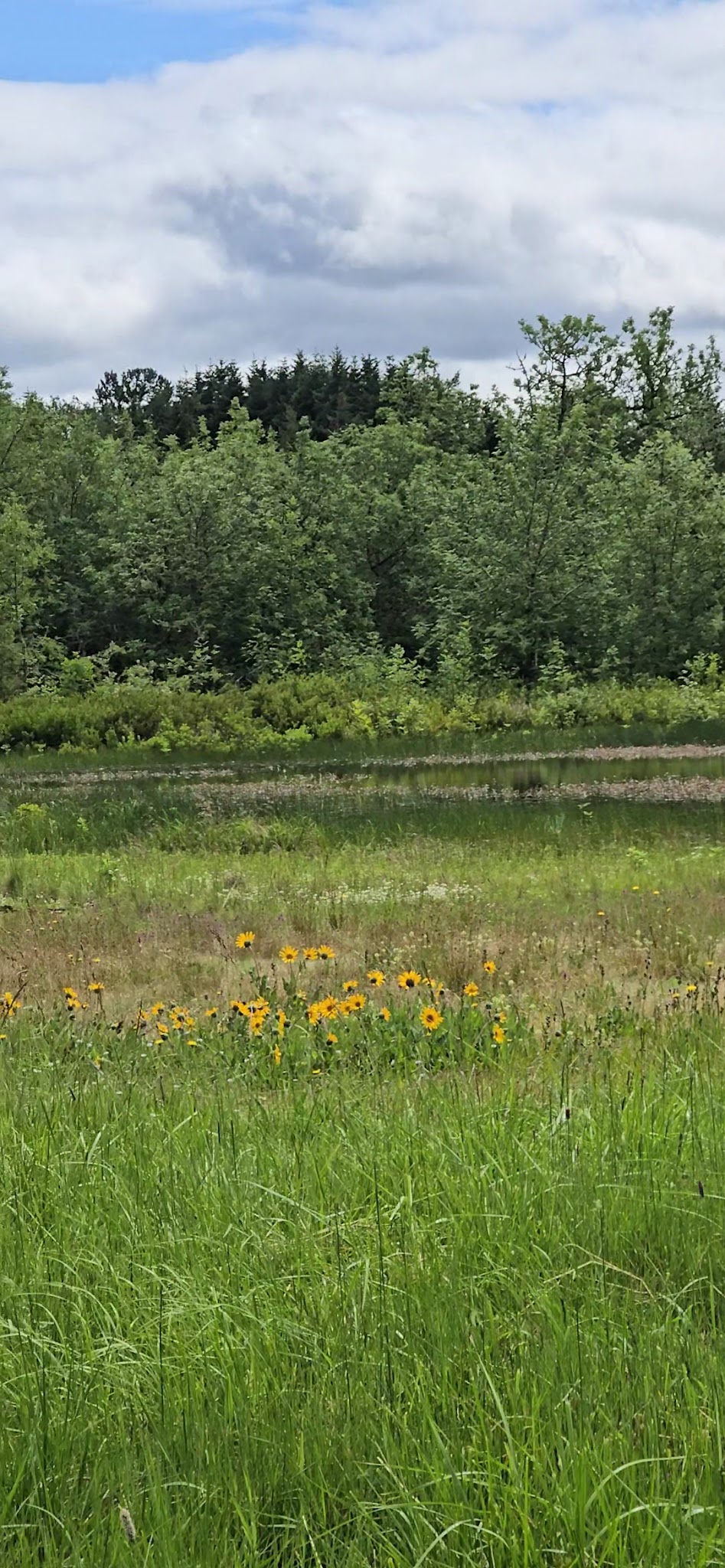East Kirk Park - Junction City, OR