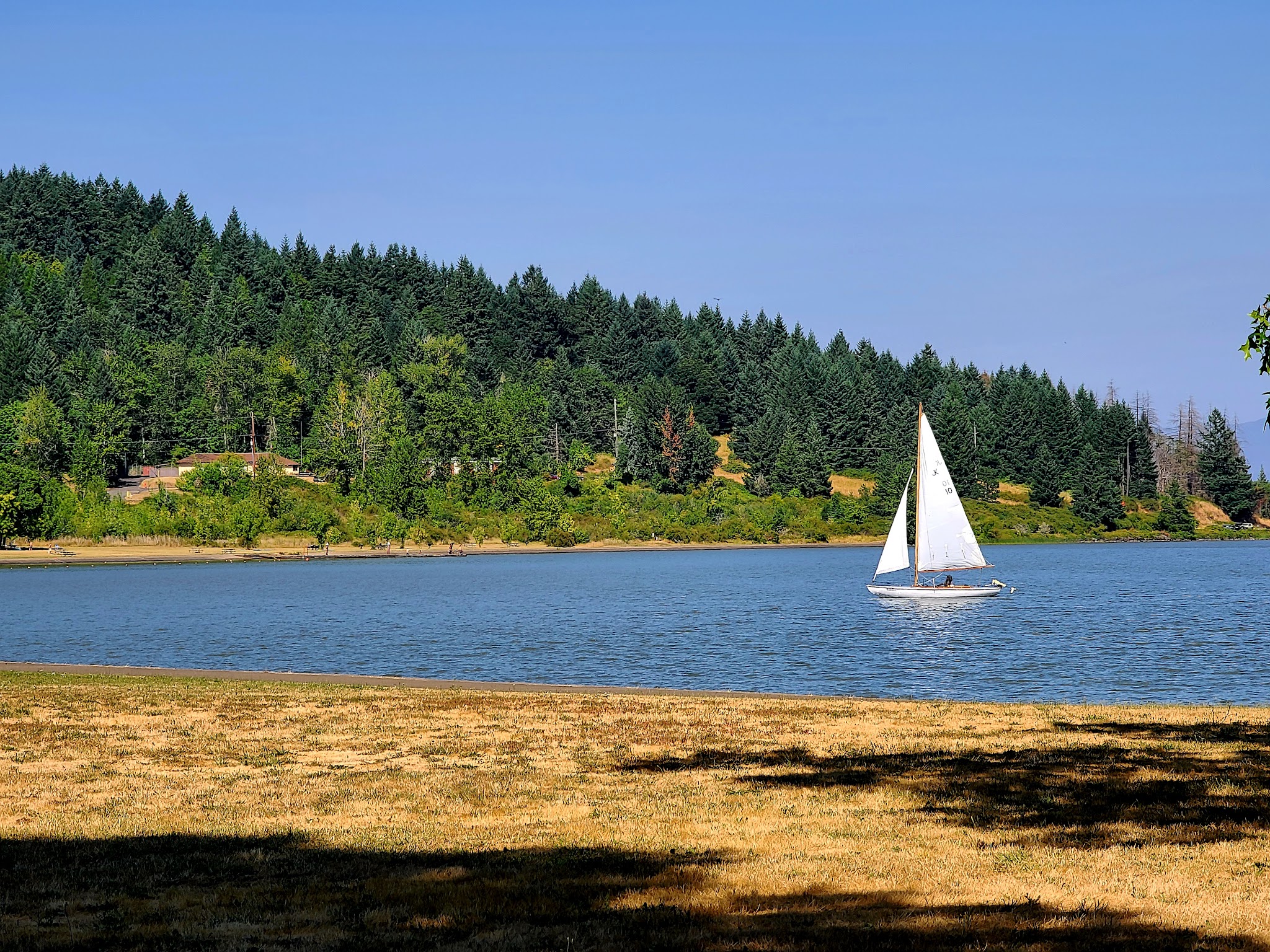 Richardson Park - Junction City, OR