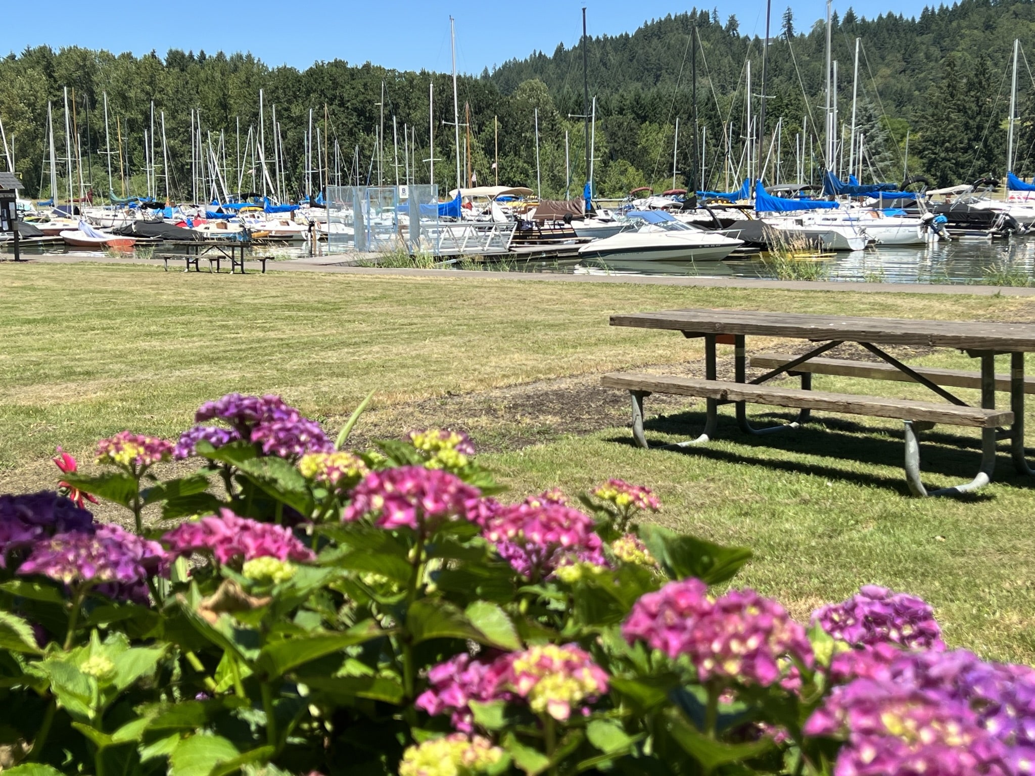 Richardson Park - Junction City, OR