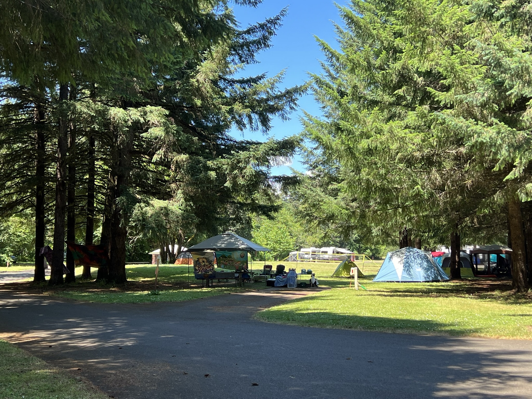 Richardson Park - Junction City, OR