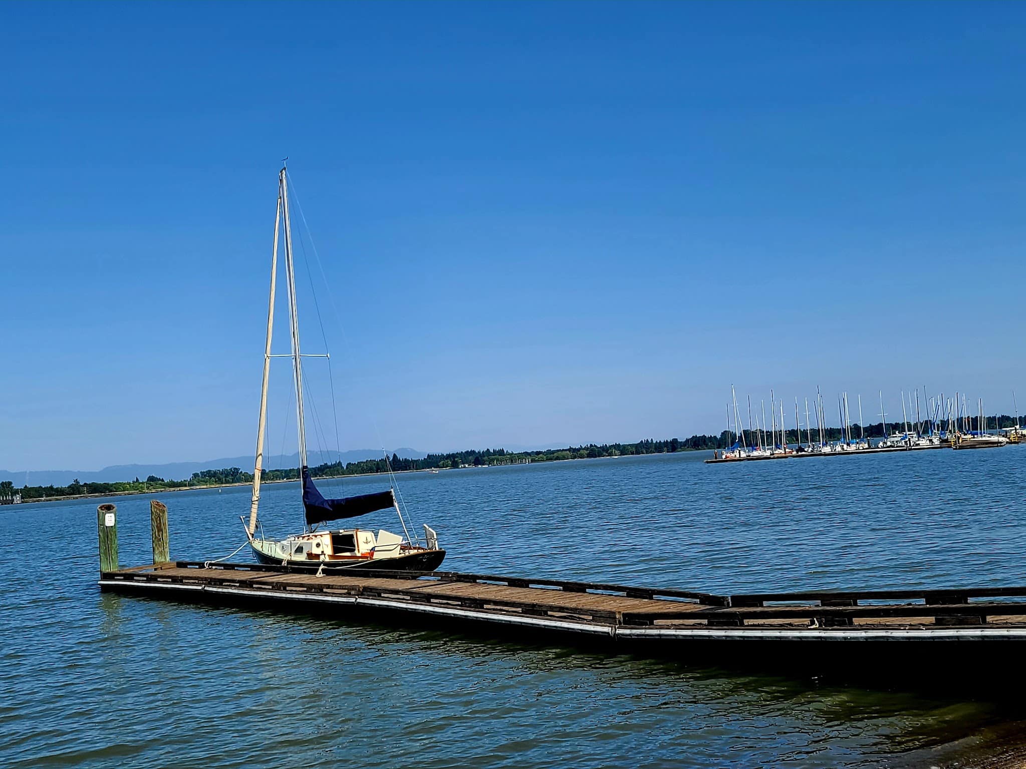 Richardson Park - Junction City, OR