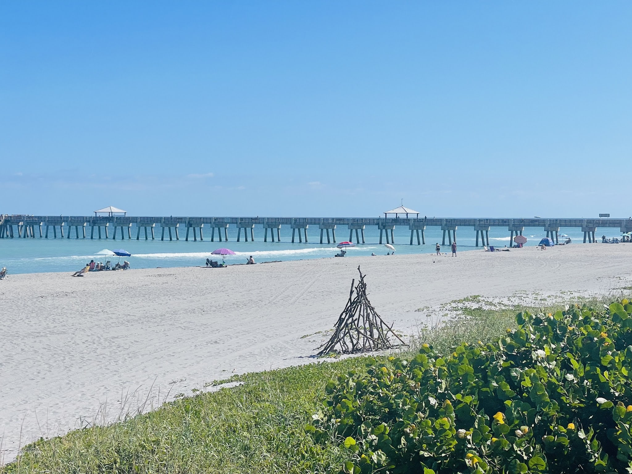 Dog beach - Jupiter, FL