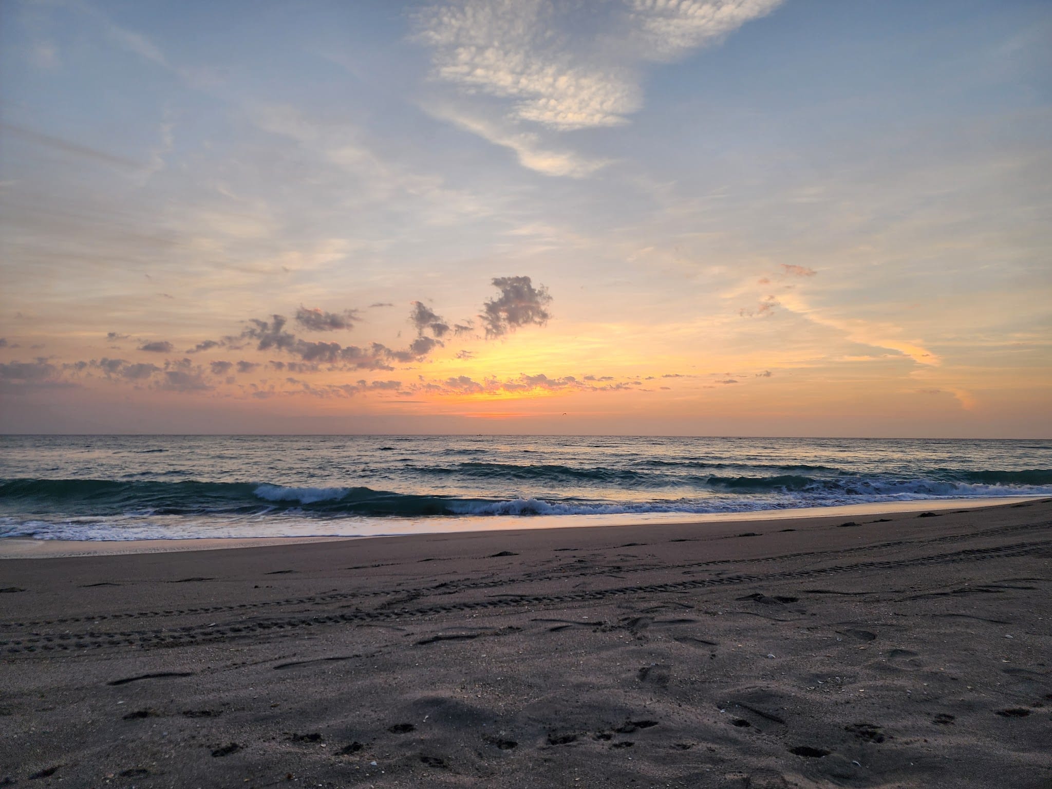 Dog beach - Jupiter, FL