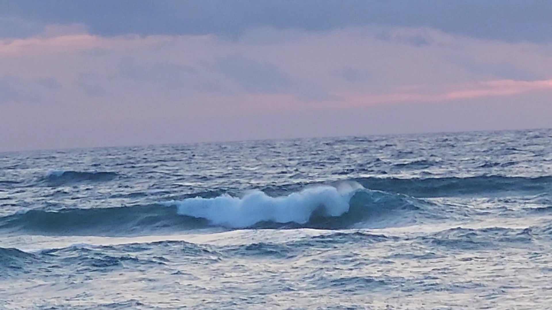 Dog Beach - Jupiter, FL