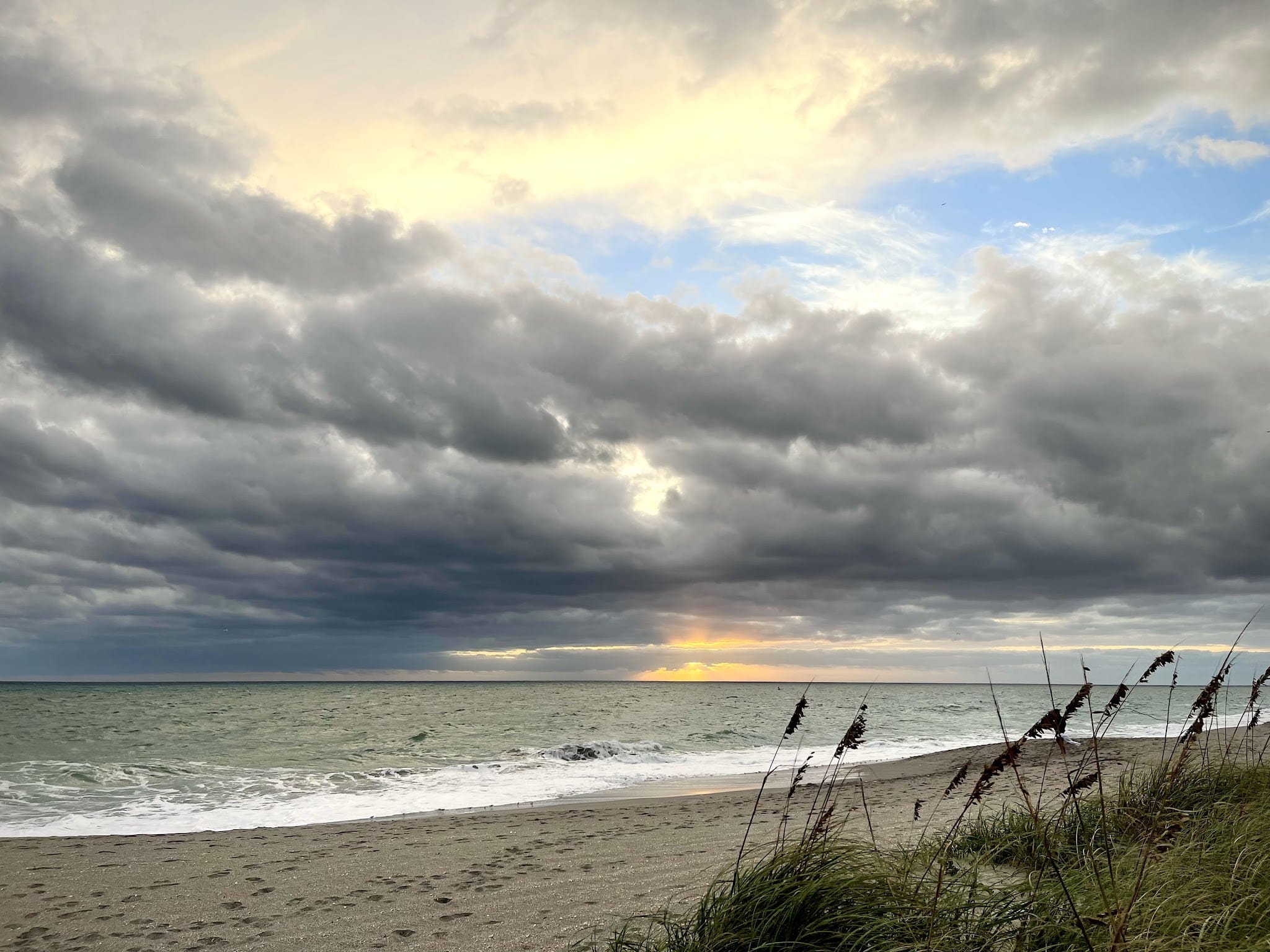 Dog Beach - Jupiter, FL