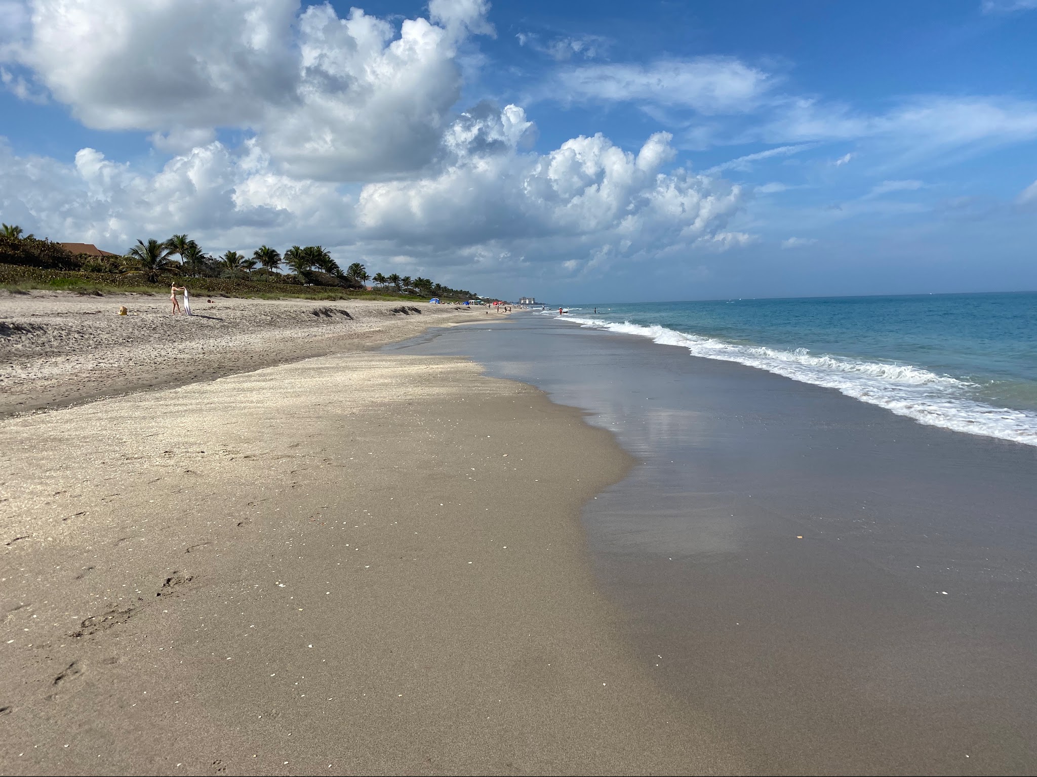 Jupiter Off-Leash Dog Beach - Jupiter, FL