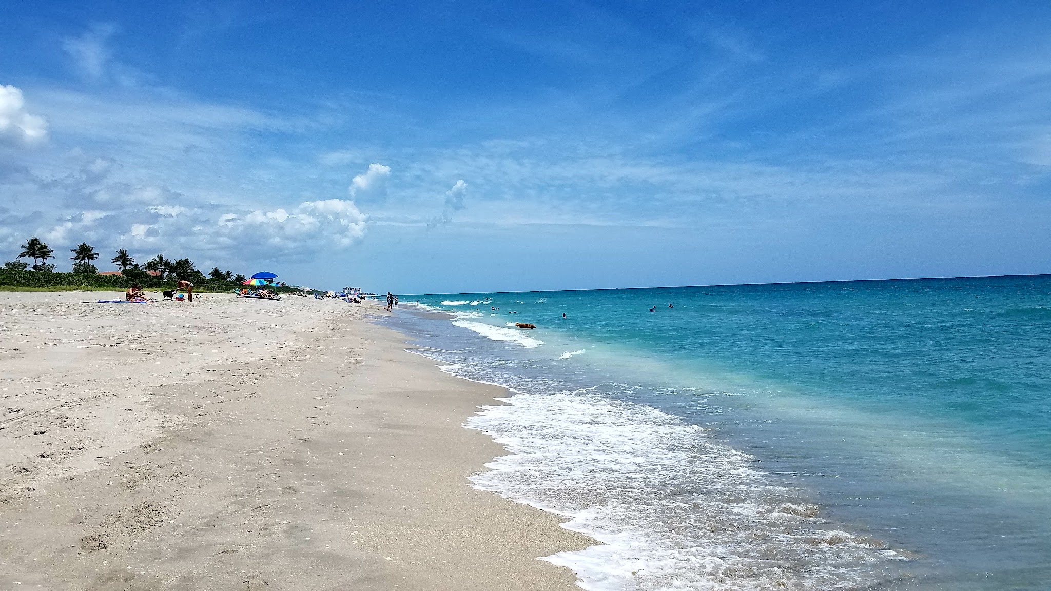 Jupiter Off-Leash Dog Beach - Jupiter, FL