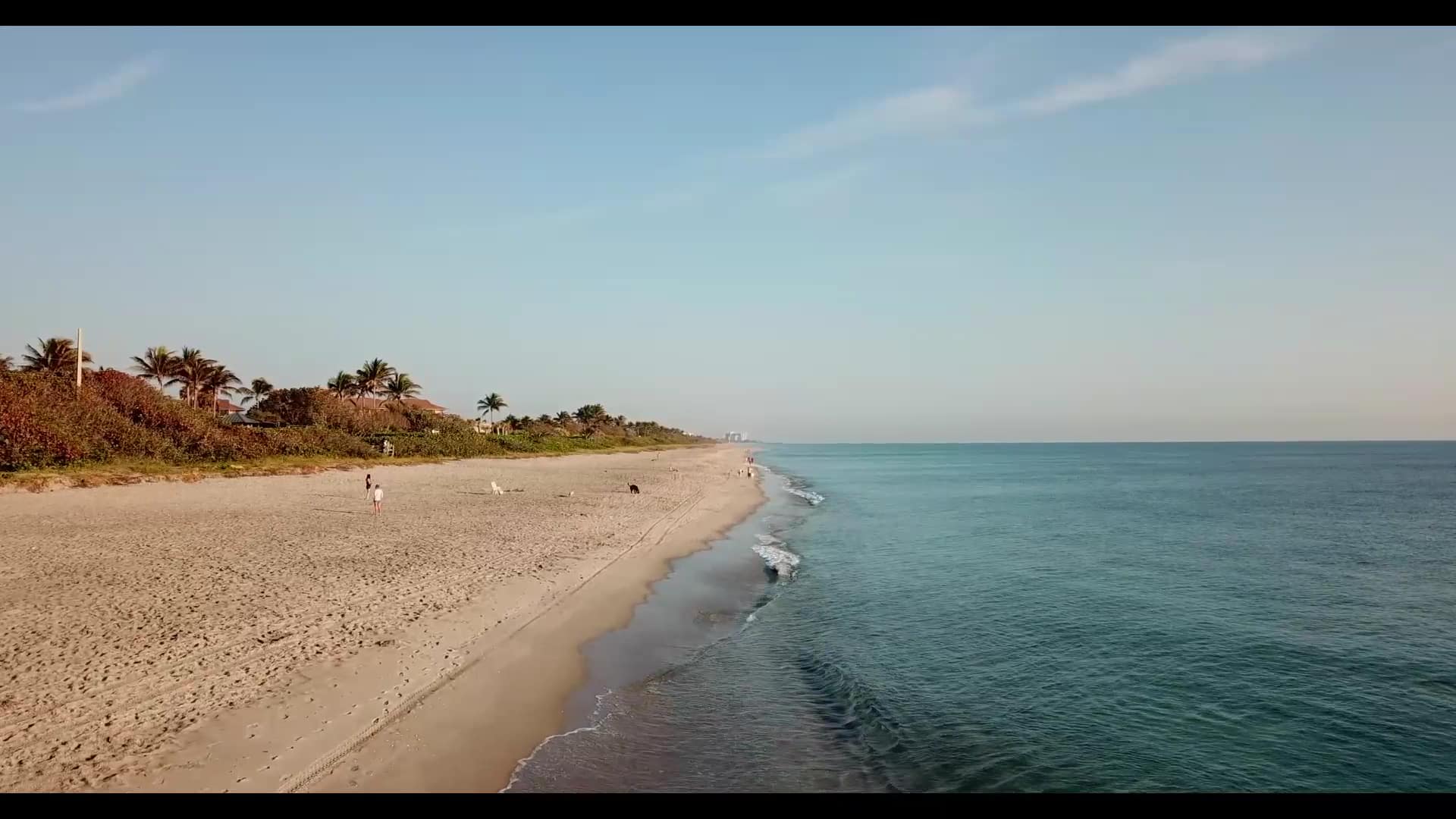 Jupiter Off-Leash Dog Beach - Jupiter, FL