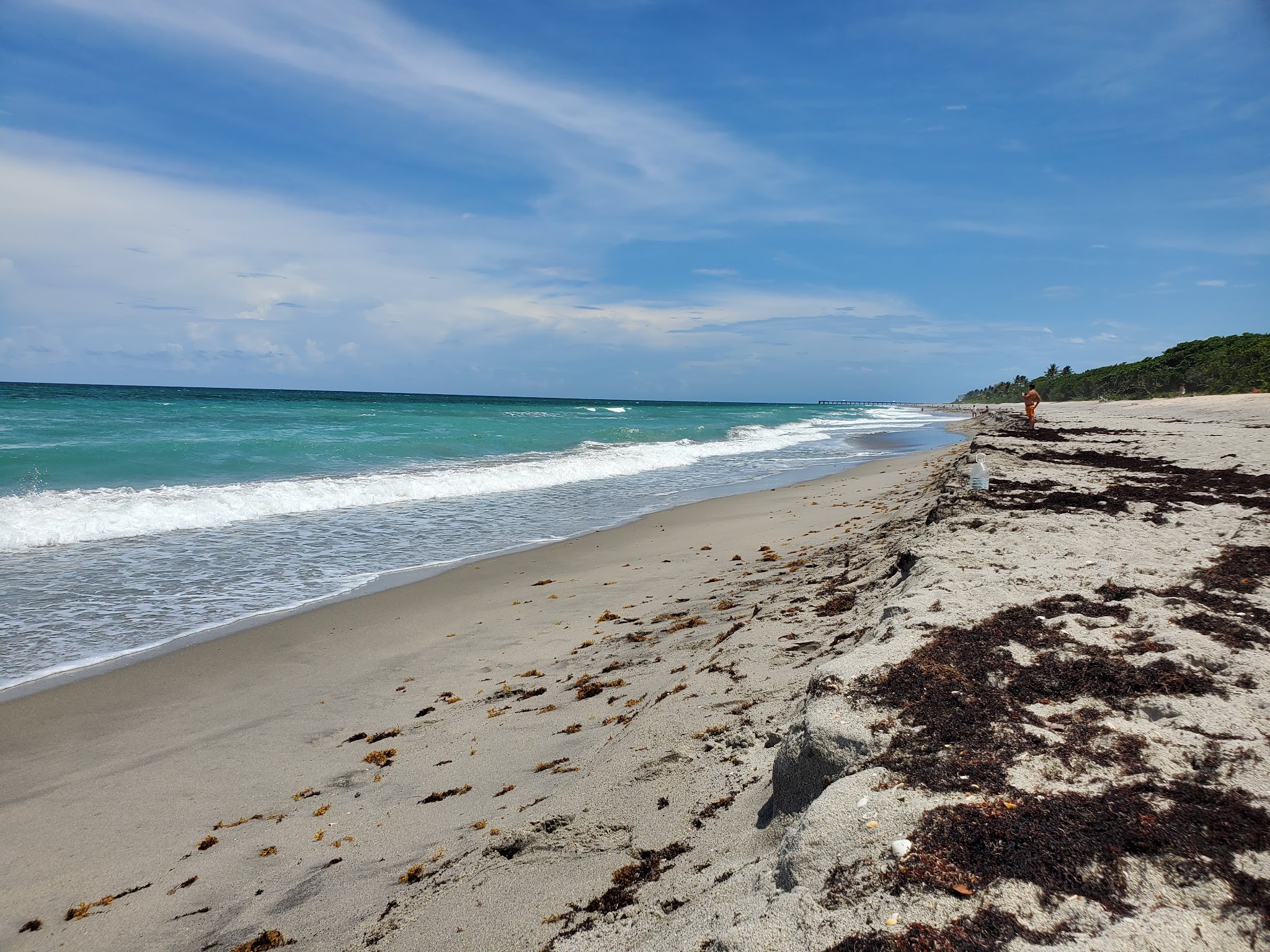 Ladder 38 @ Dog Beach - Jupiter, FL