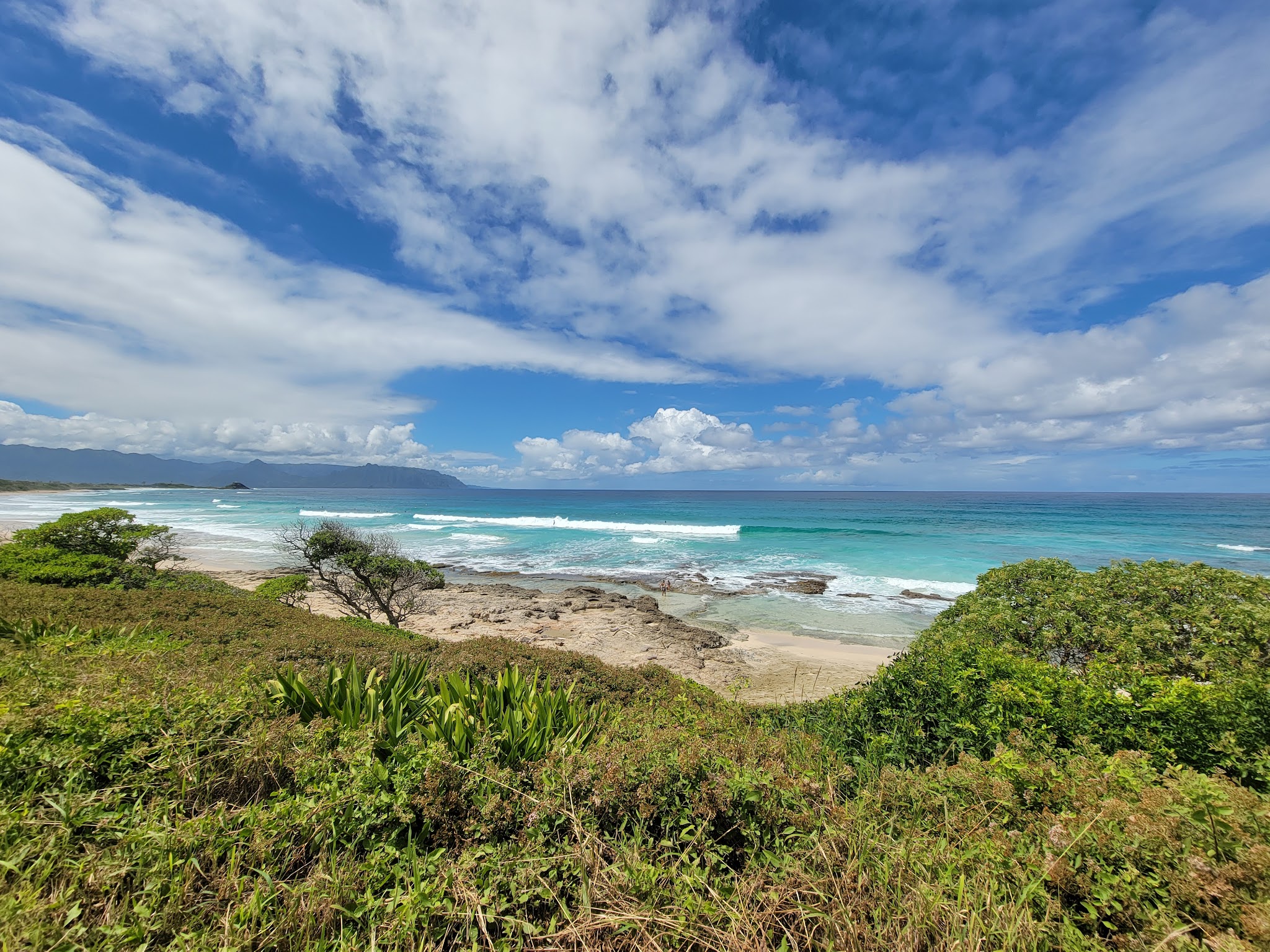 MCBH Dog park - Kailua, HI