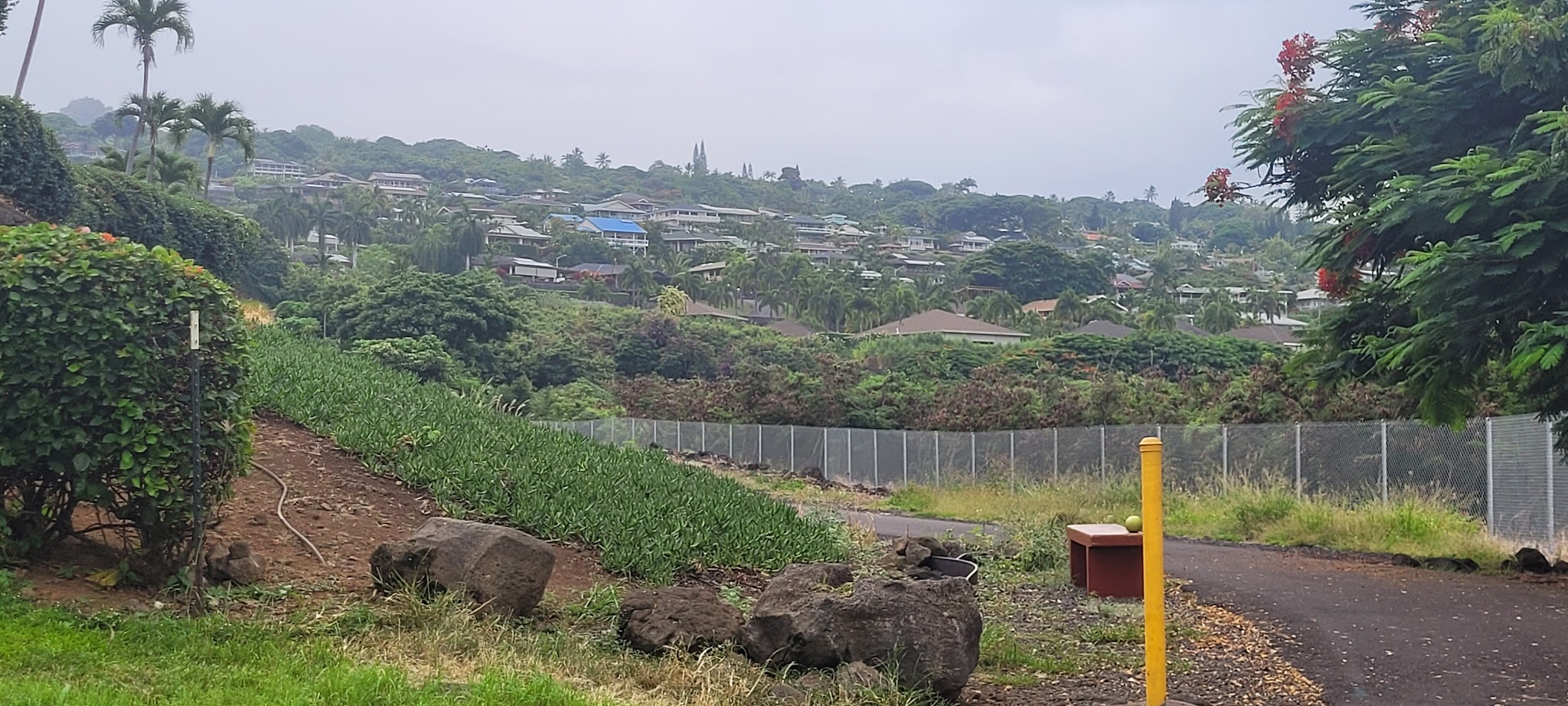 Walua Trail North Trailhead - Kailua-Kona, HI