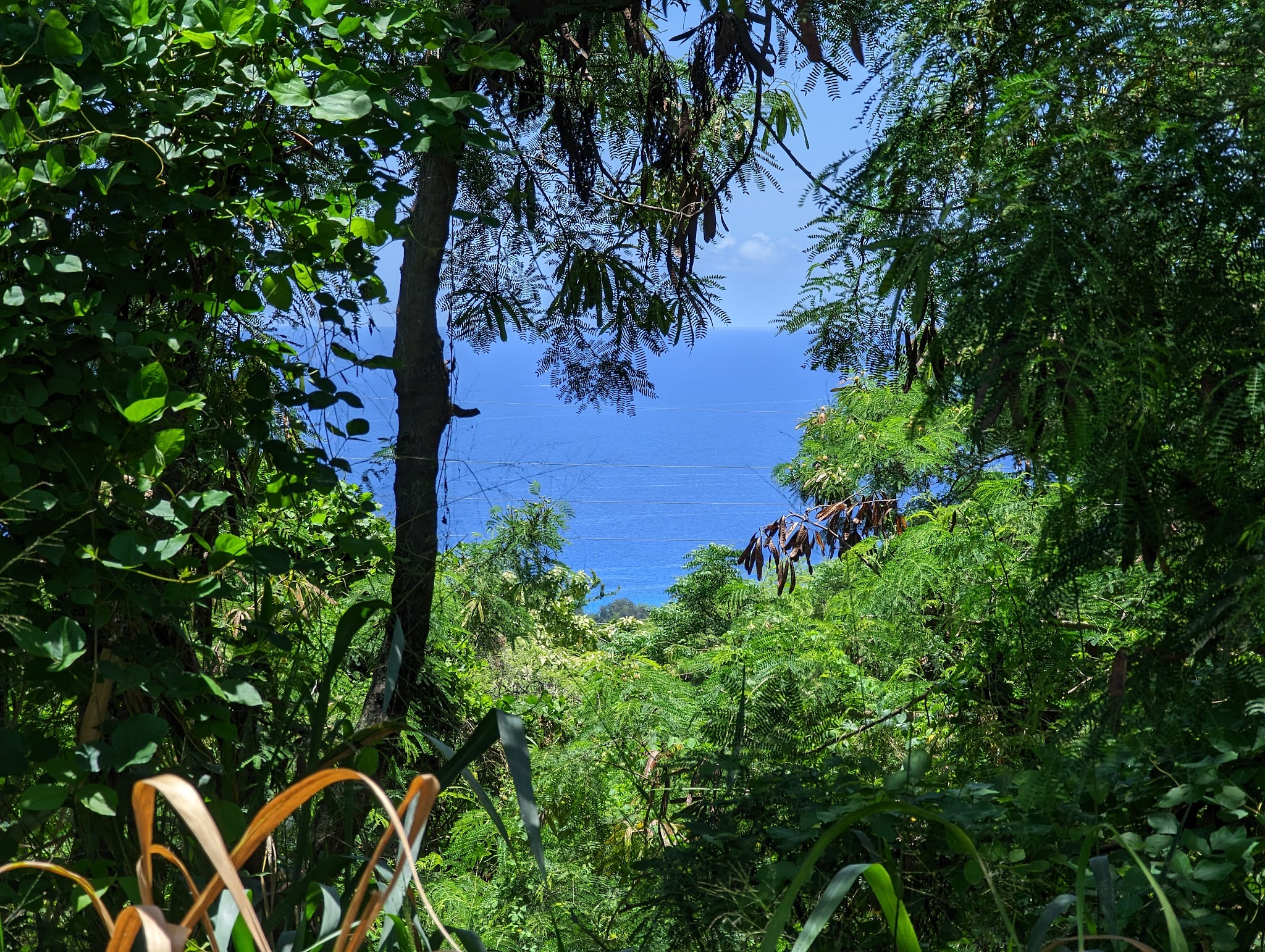 Walua Trail North Trailhead - Kailua-Kona, HI