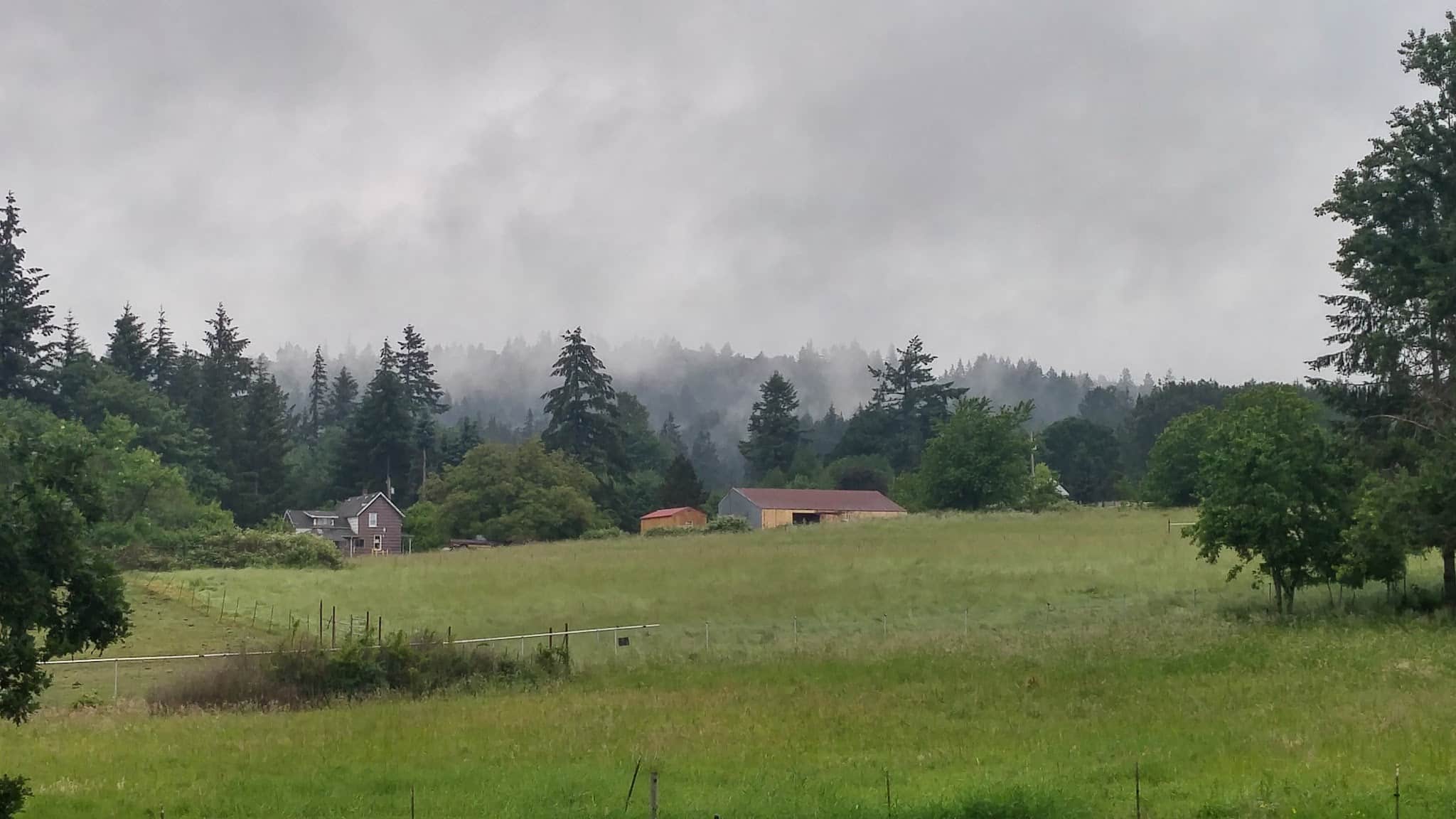 Columbia Canine Cottage Boarding & Grooming - Kalama, WA