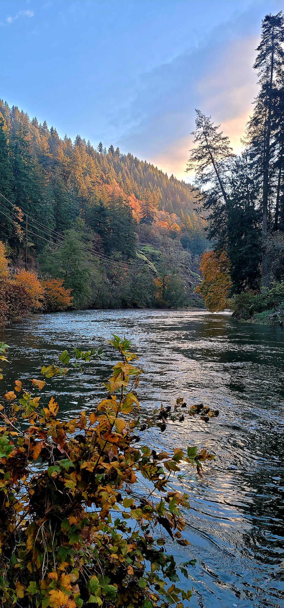 WDFW Modrow Boat Launch - Kalama, WA