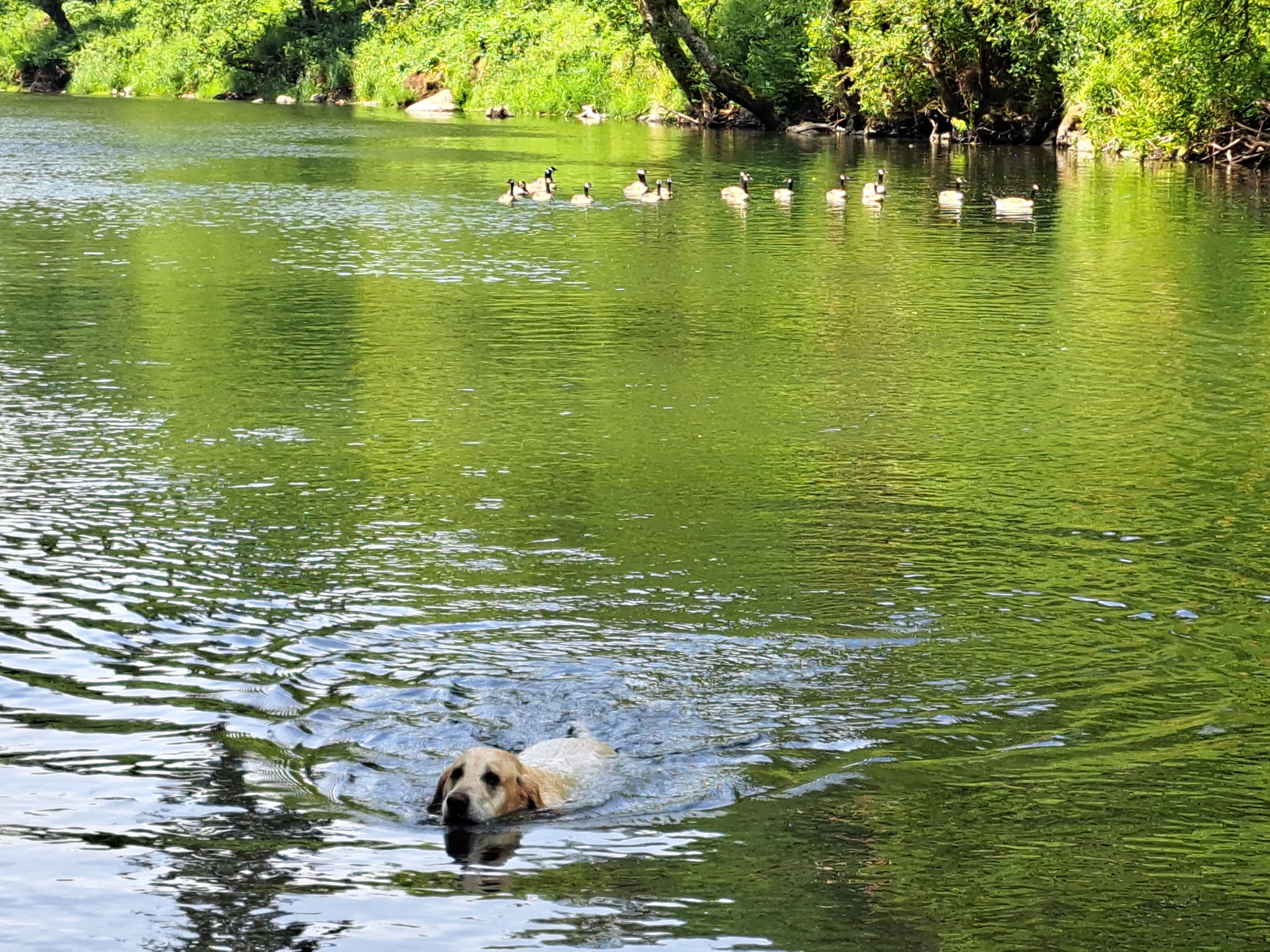 WDFW Modrow Boat Launch - Kalama, WA