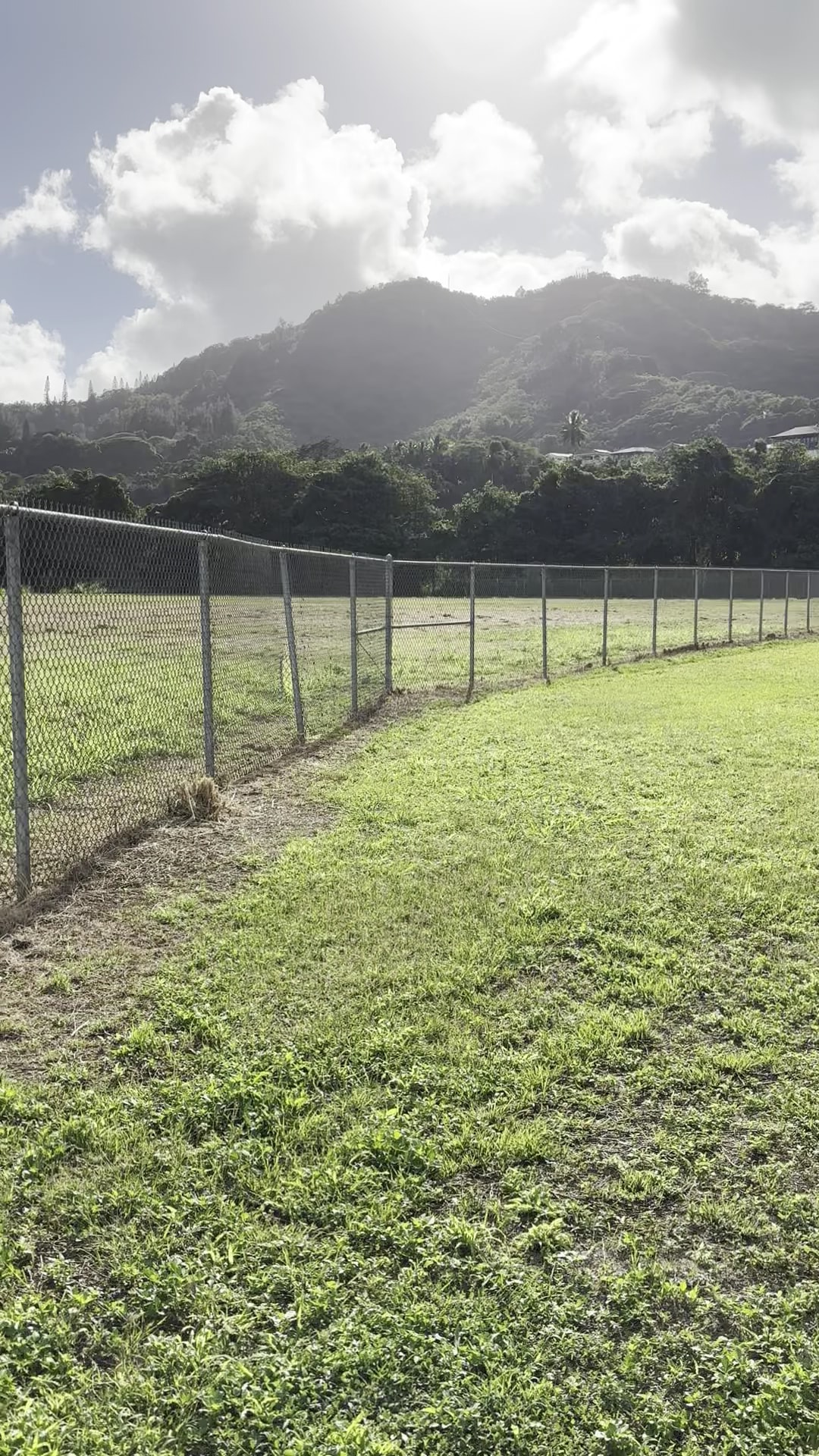 Kaneohe Dog Park - Kaneohe, HI