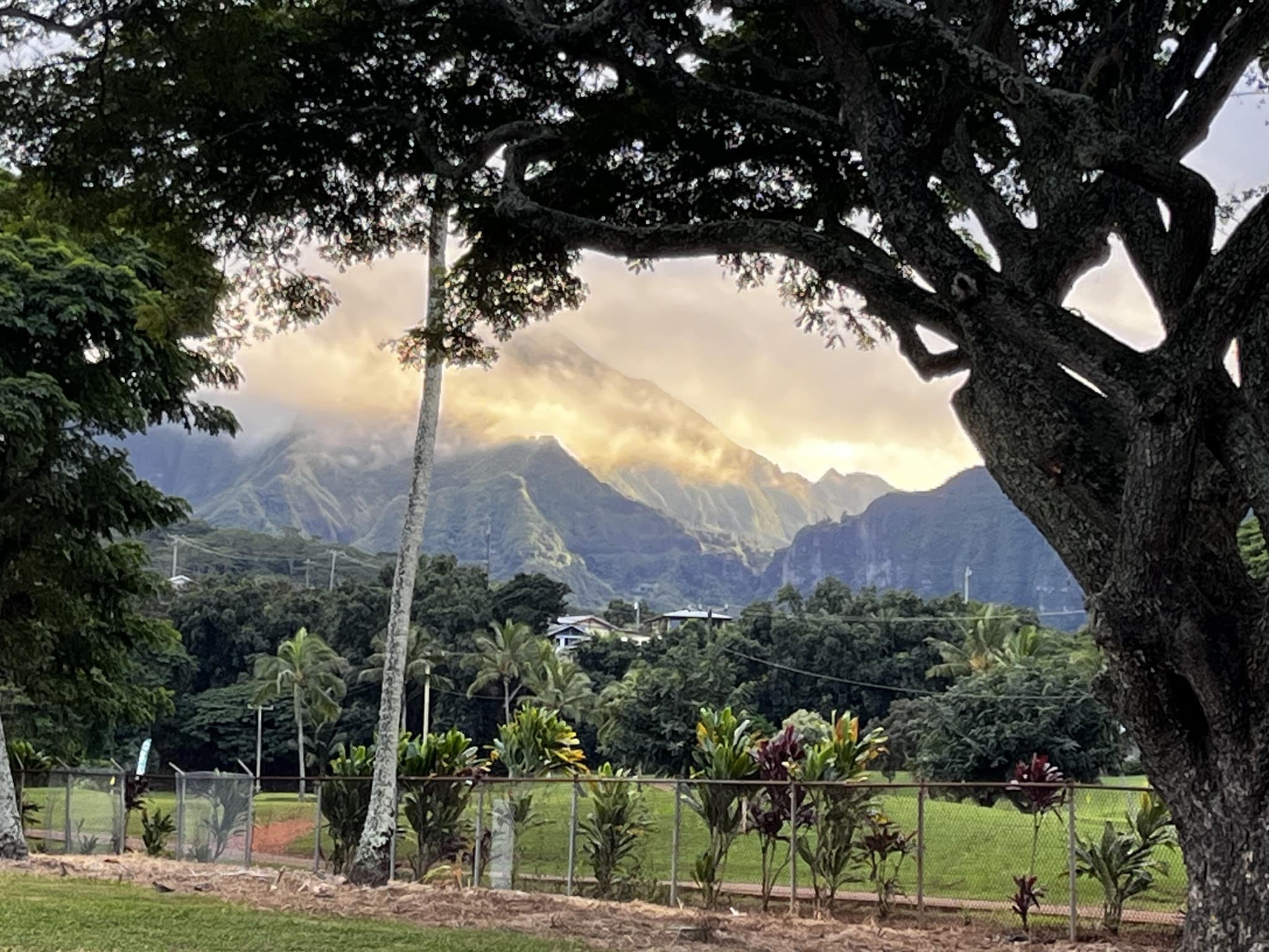 Kaneohe Dog Park - Kaneohe, HI