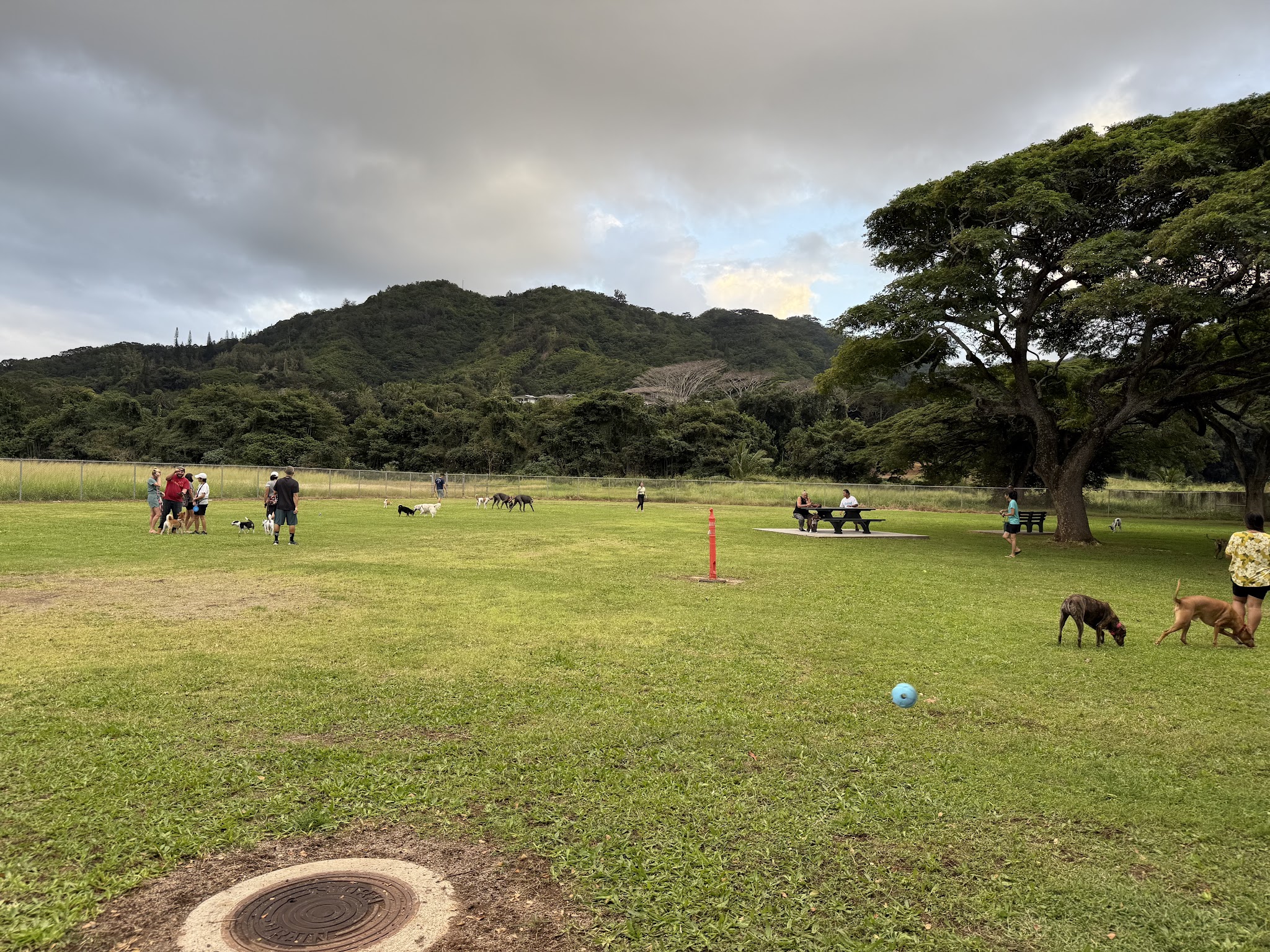 Kaneohe Dog Park - Kaneohe, HI