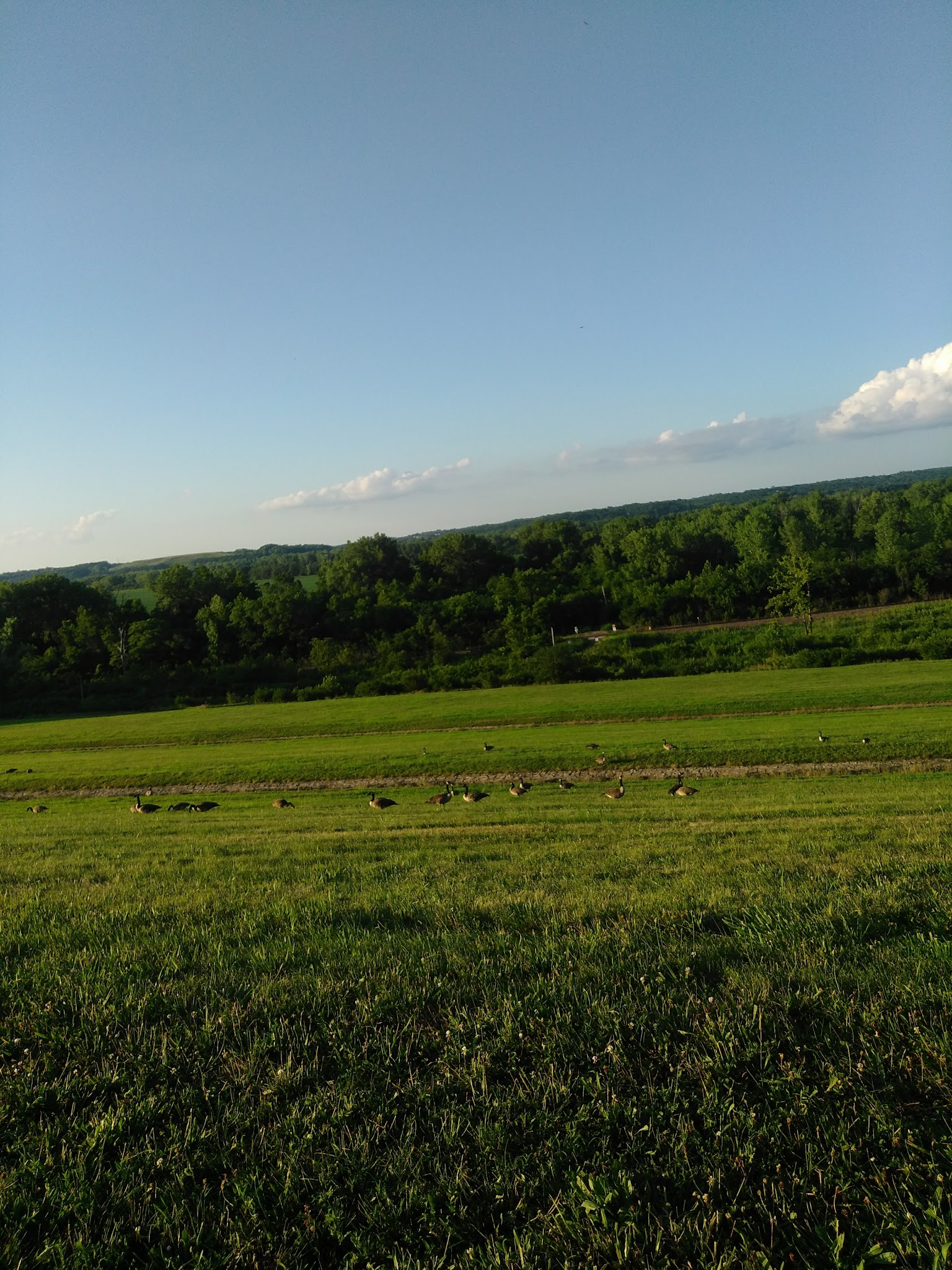 Leash Free Dog Run - Kansas City, KS