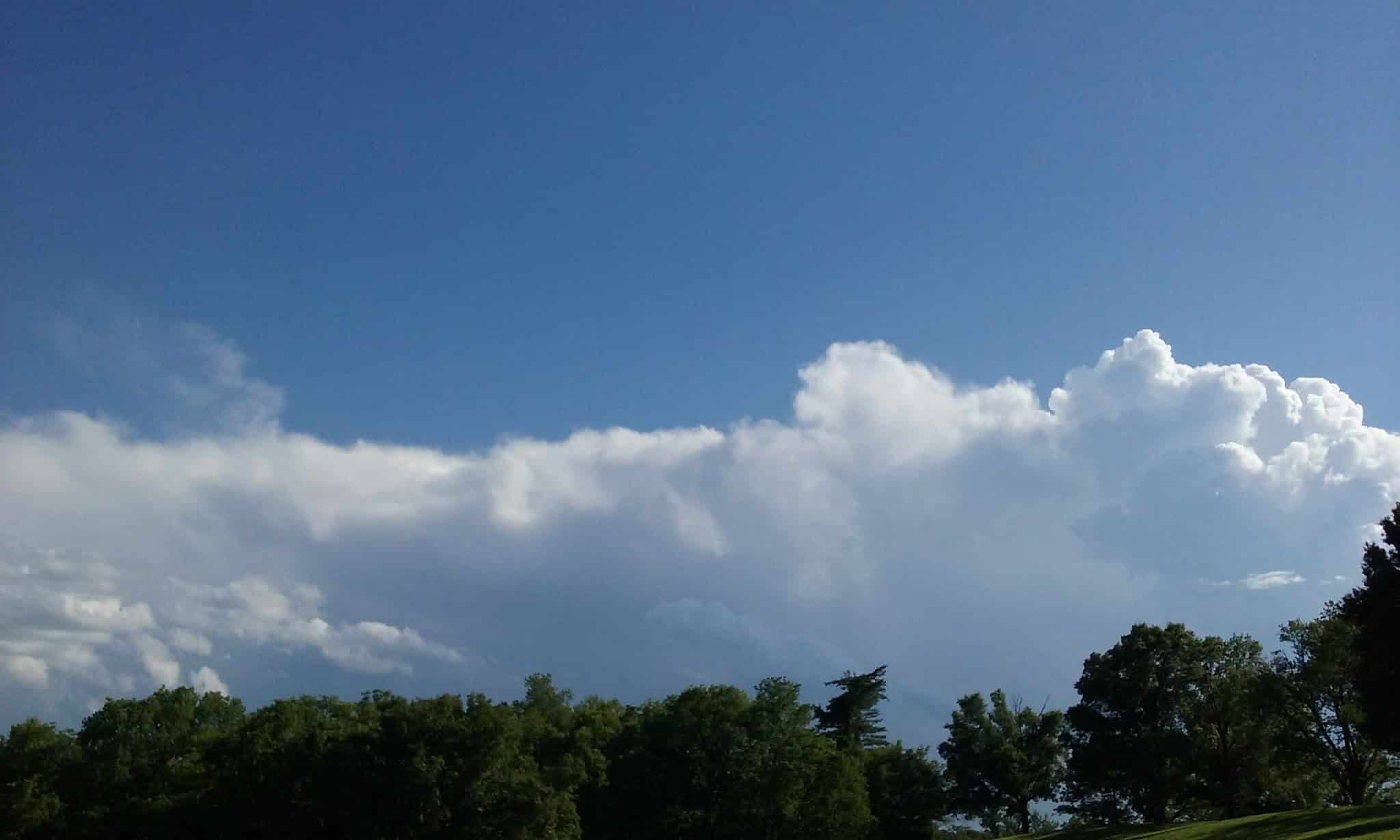 Leash Free Dog Run - Kansas City, KS