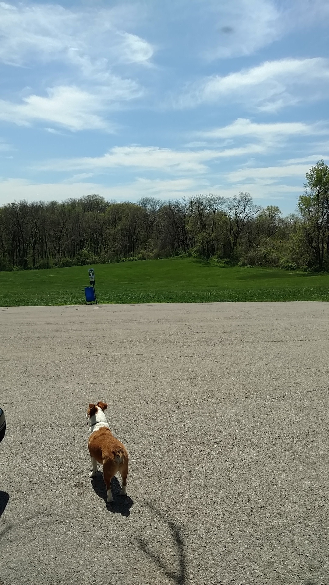 Leash Free Dog Run - Kansas City, KS