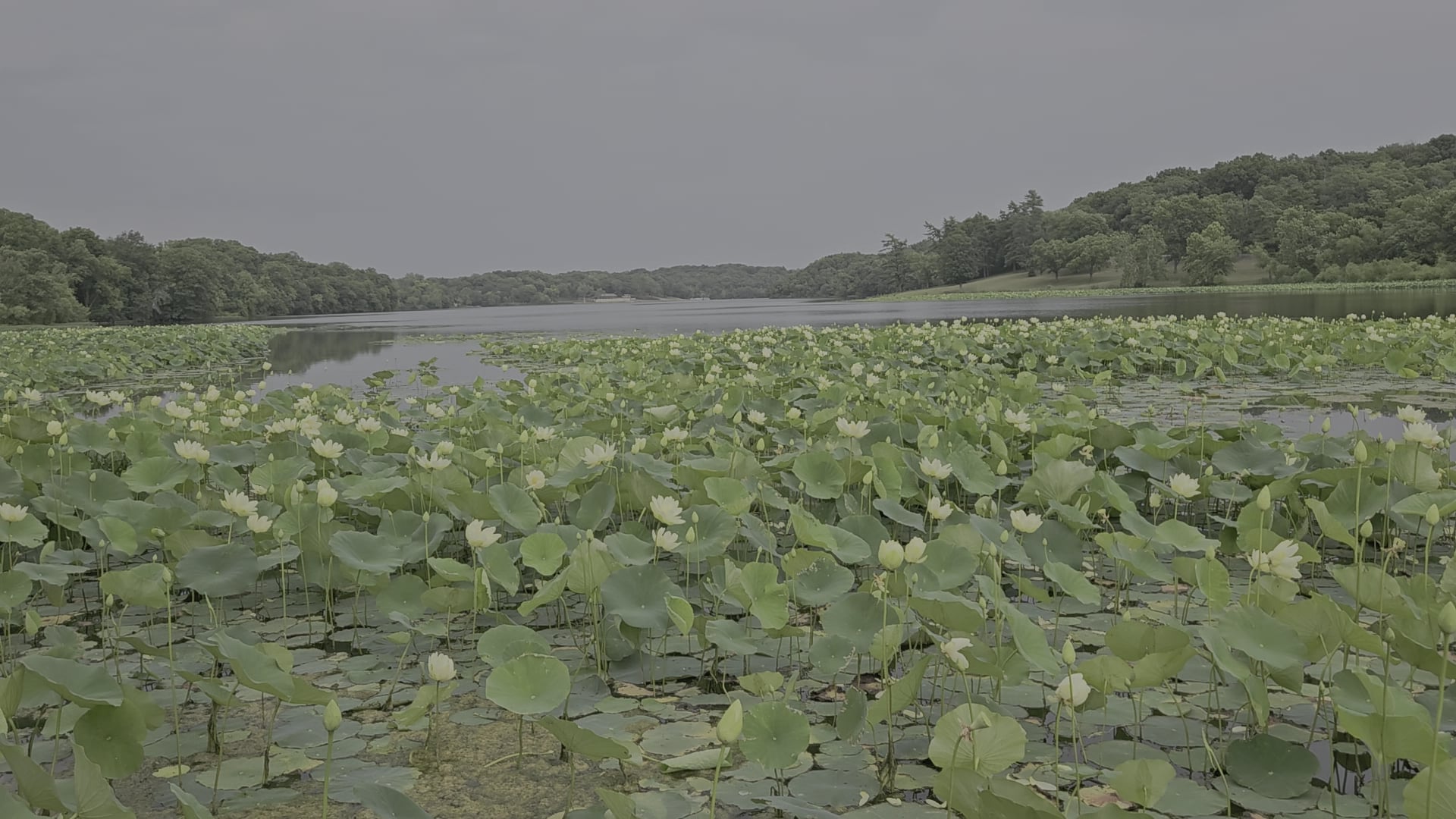 Wyandotte County Lake Park - Kansas City, KS