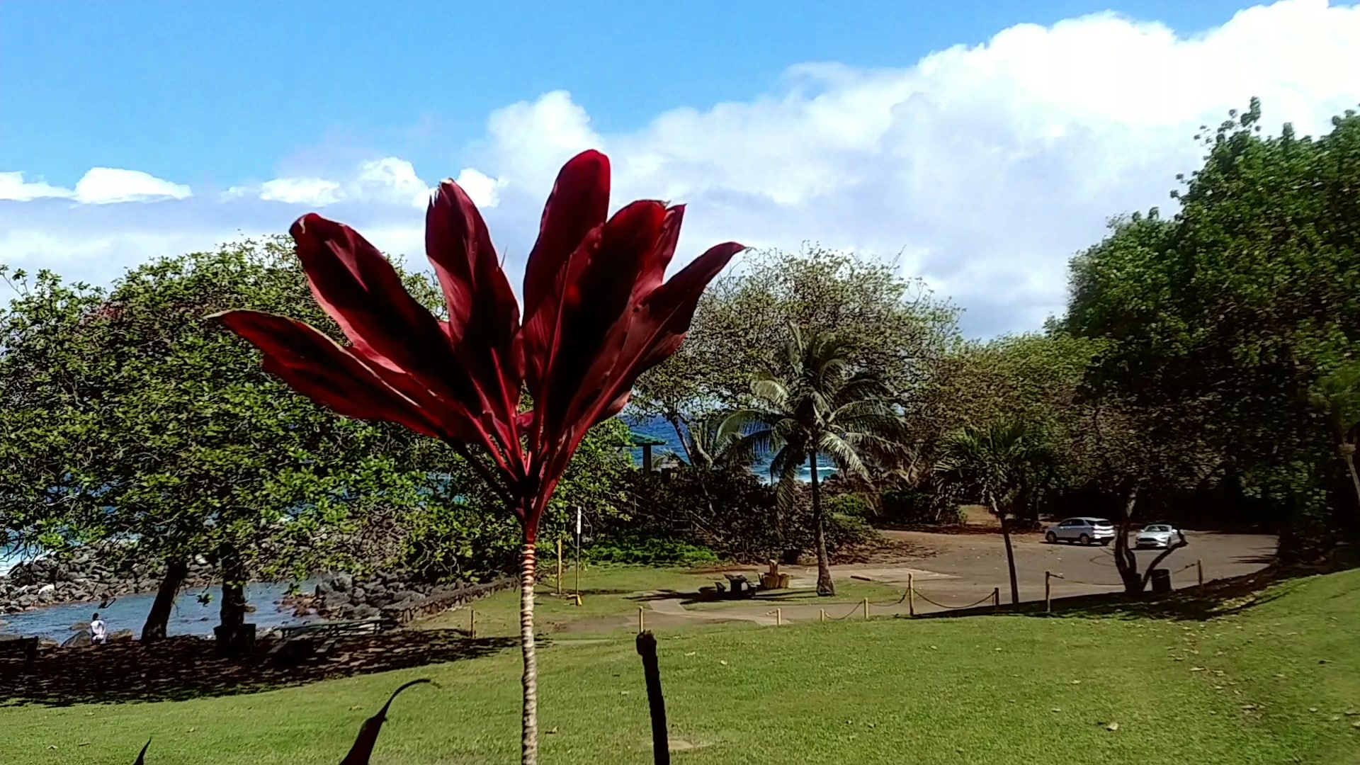 Kēōkea Beach Park - Kapaau, HI
