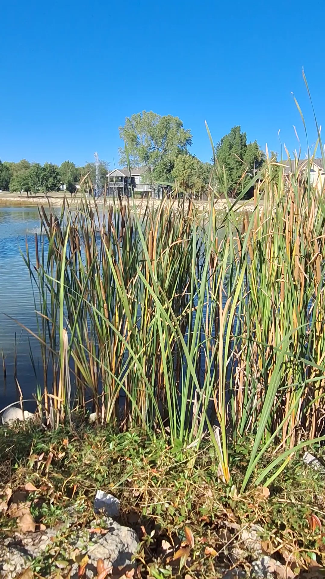 Kechi Park - Kechi, KS