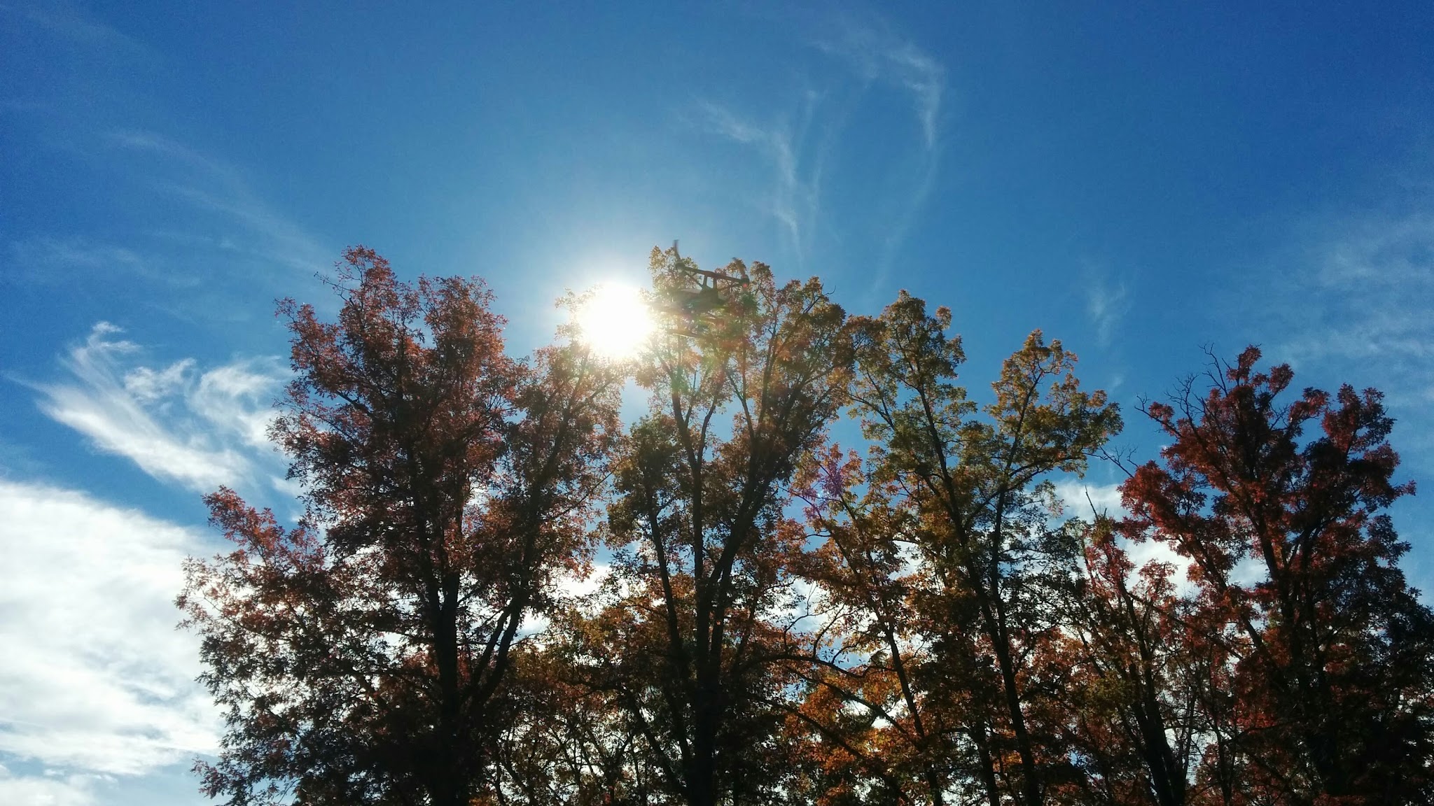 Chestnut Grove Park - Keedysville, MD