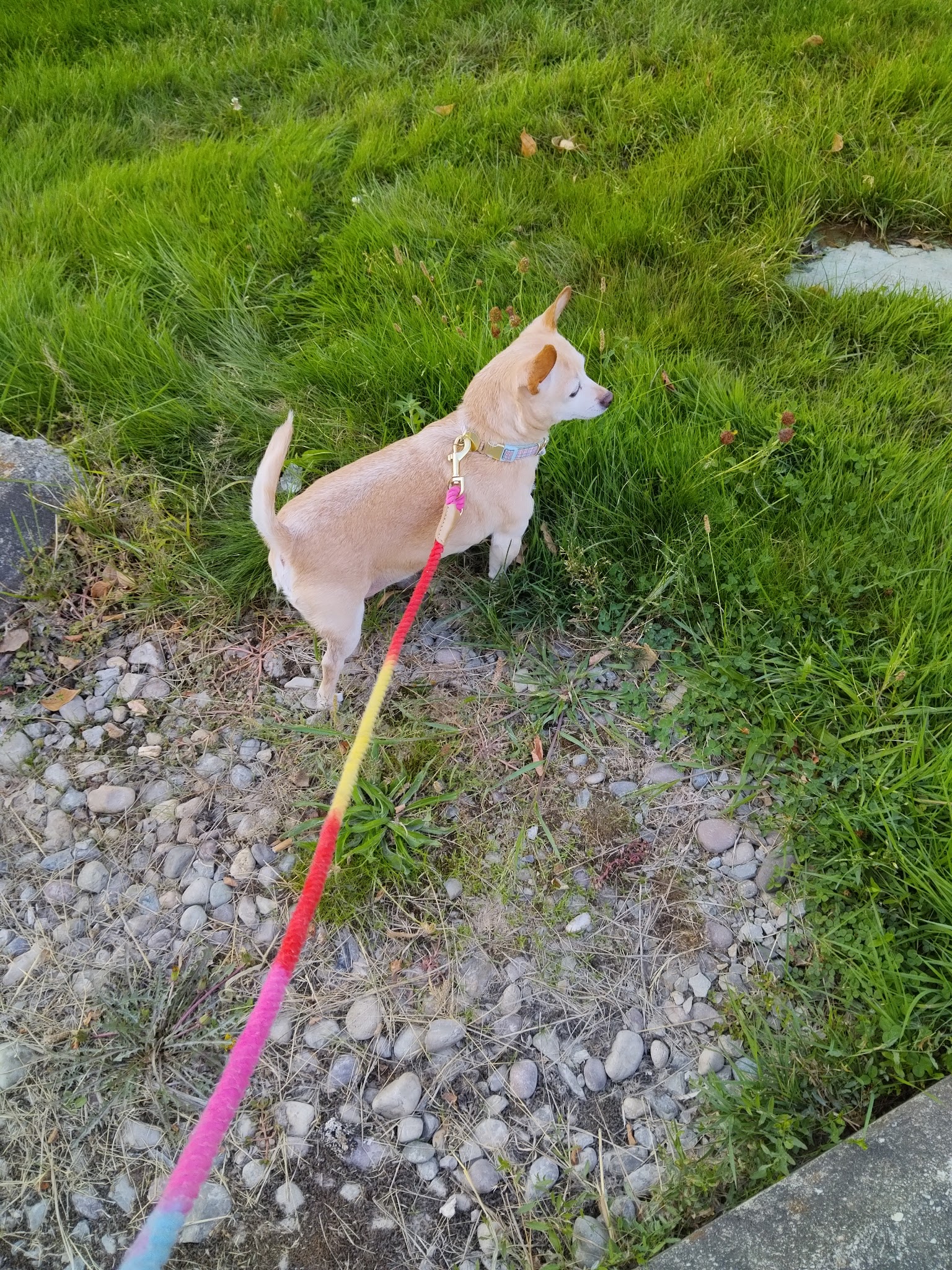 Kellogg Recreation Department - Kellogg, ID