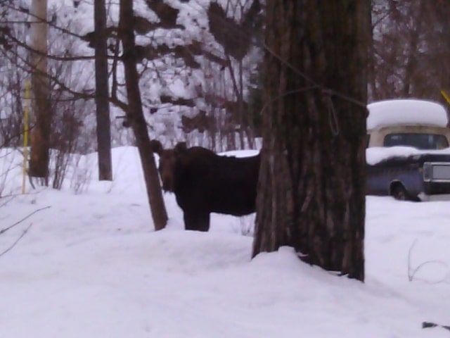 Kellogg Recreation Department - Kellogg, ID