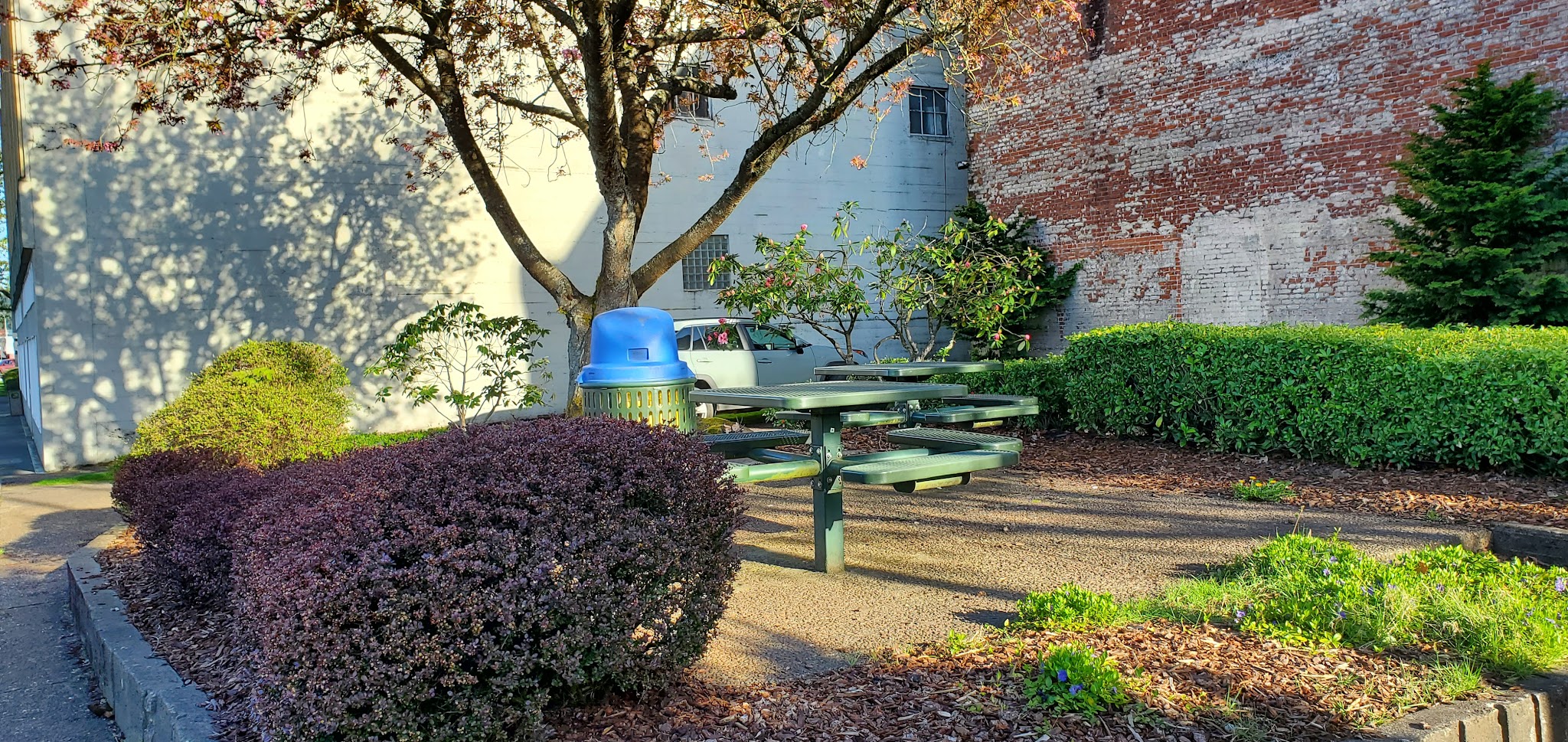 Kelso Commons - Kelso, WA