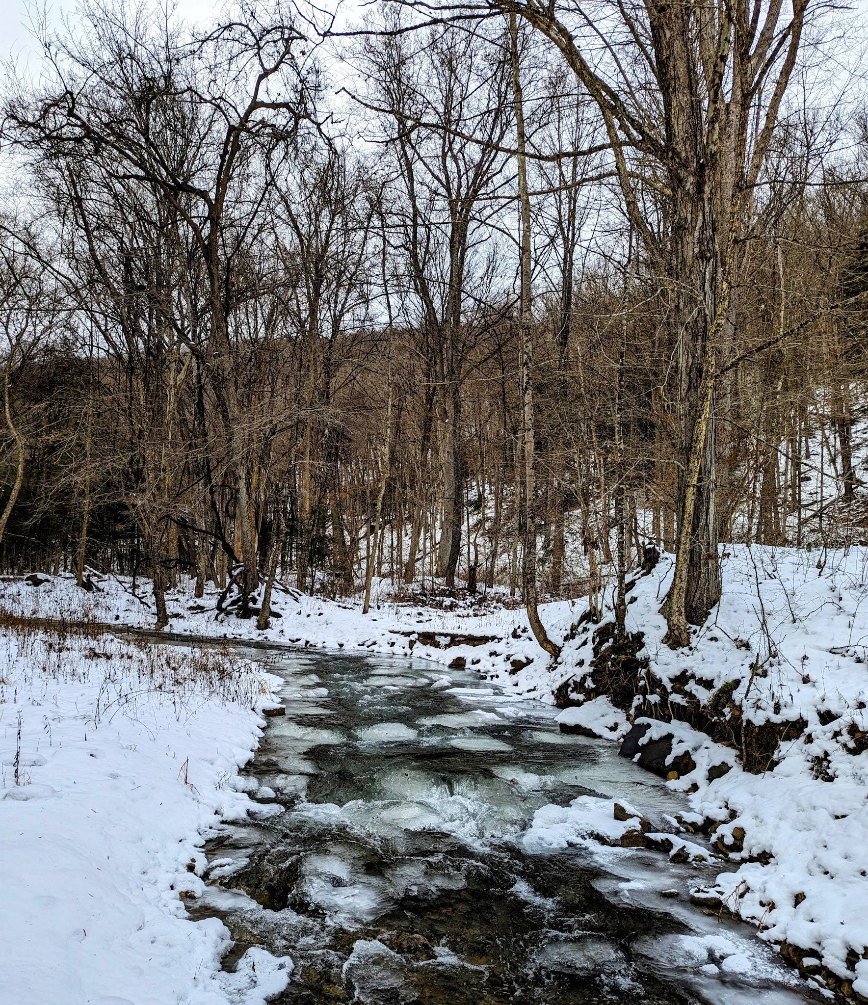 Clear Creek State Forest - Kennerdell Tract - Kennerdell, PA