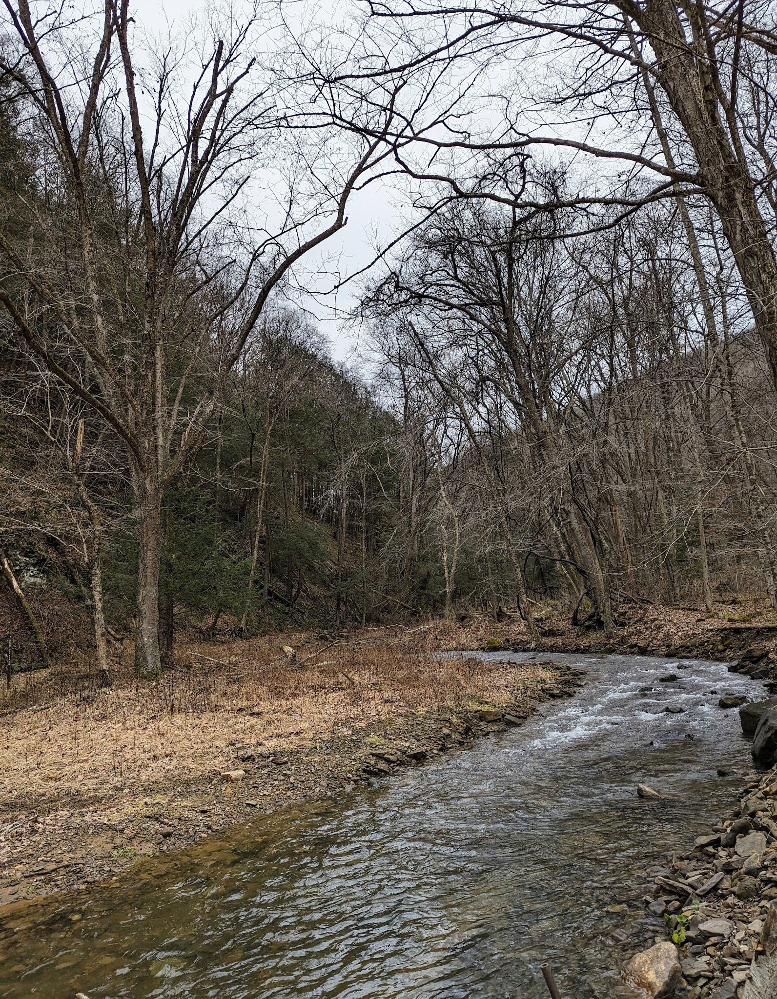 Clear Creek State Forest - Kennerdell Tract - Kennerdell, PA