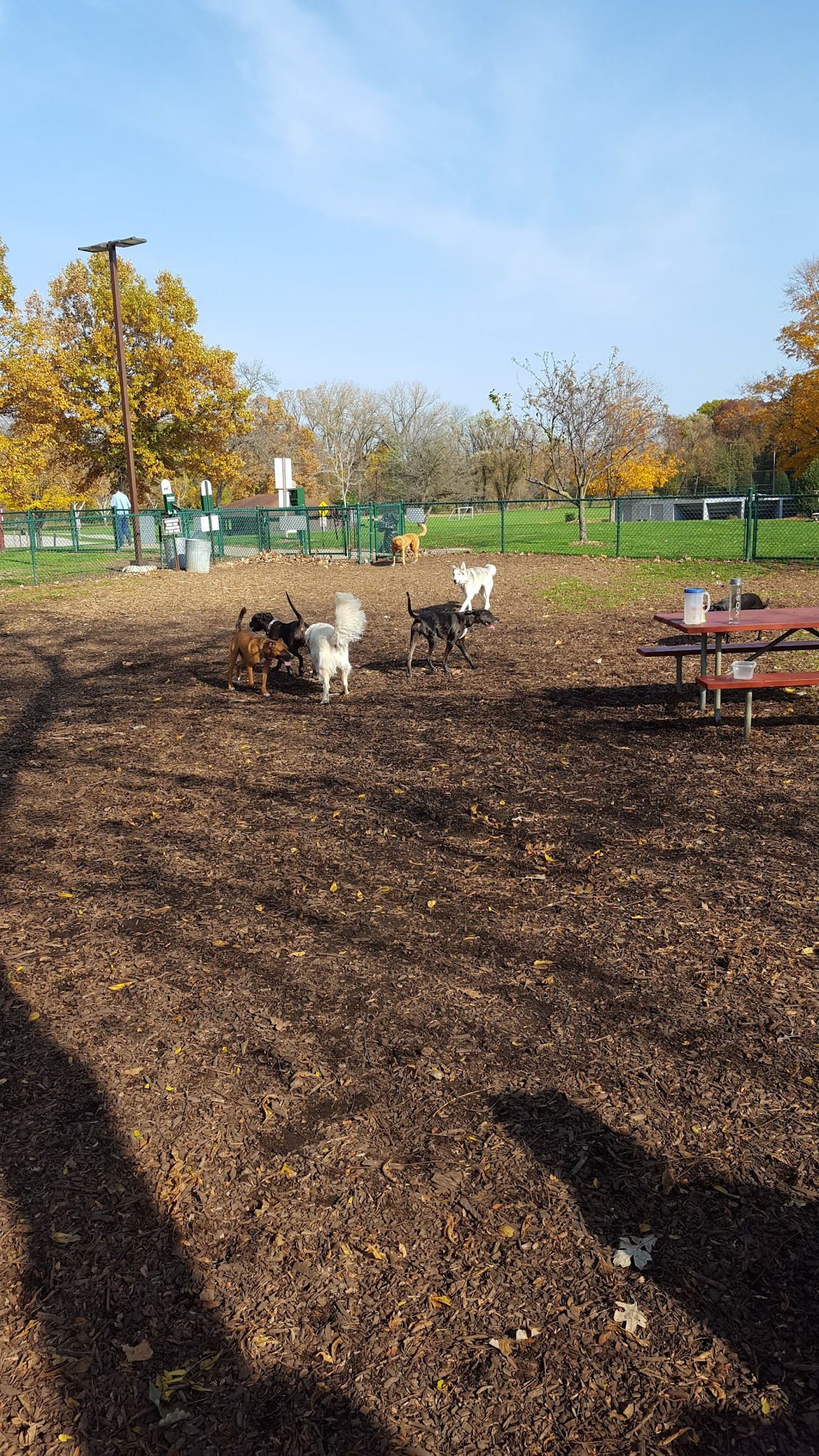 Carlisle Family Dog Park - Kenosha, WI