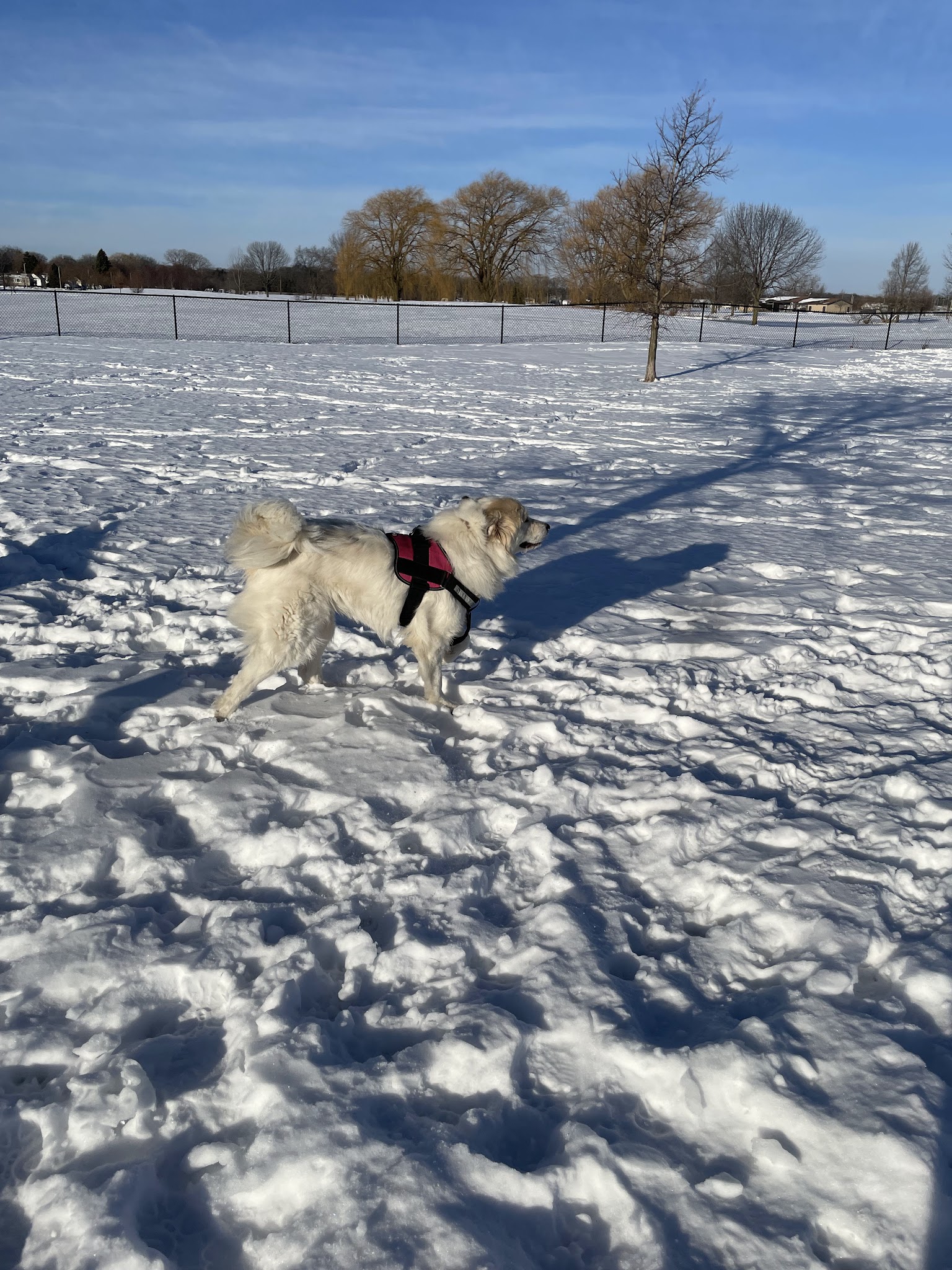 K9 Korner Dog Park - Kenosha, WI