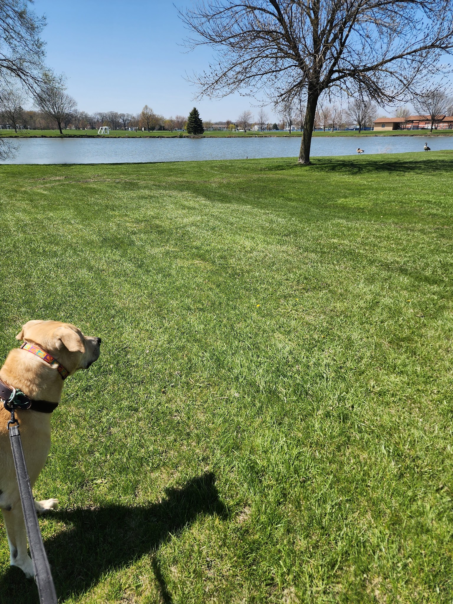 K9 Korner Dog Park - Kenosha, WI