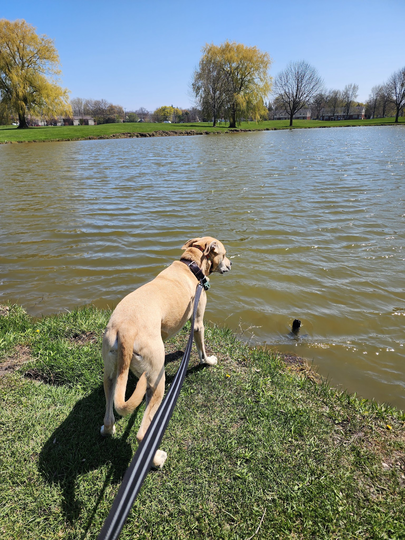 K9 Korner Dog Park - Kenosha, WI