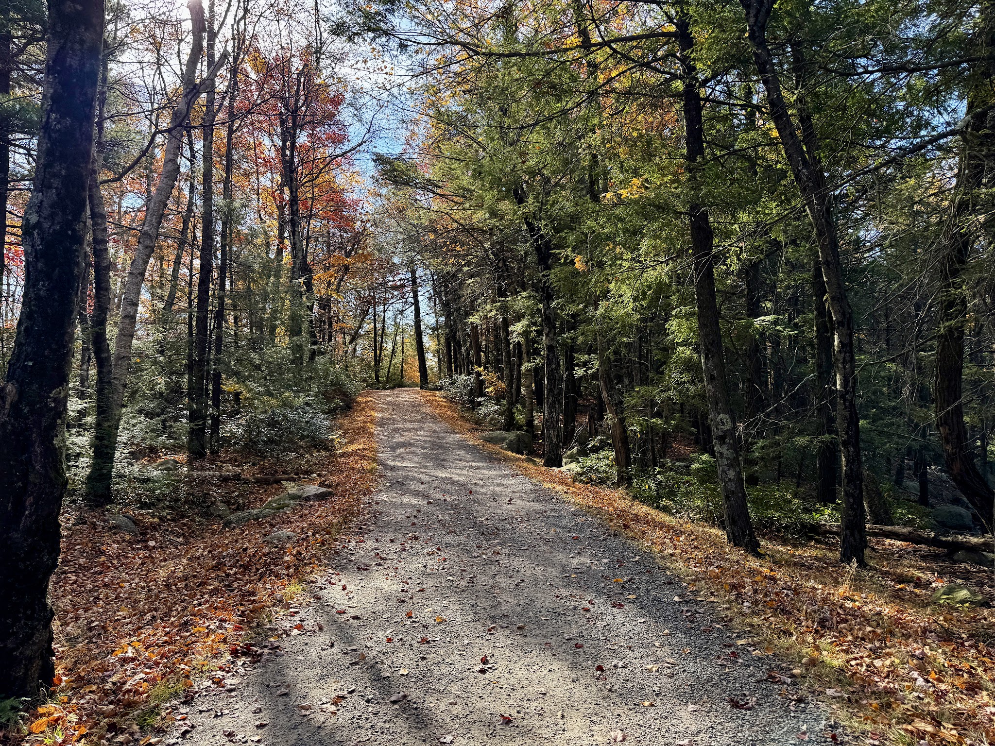 Gertrude's Nose / Minnewaska Trail - Kerhonkson, NY