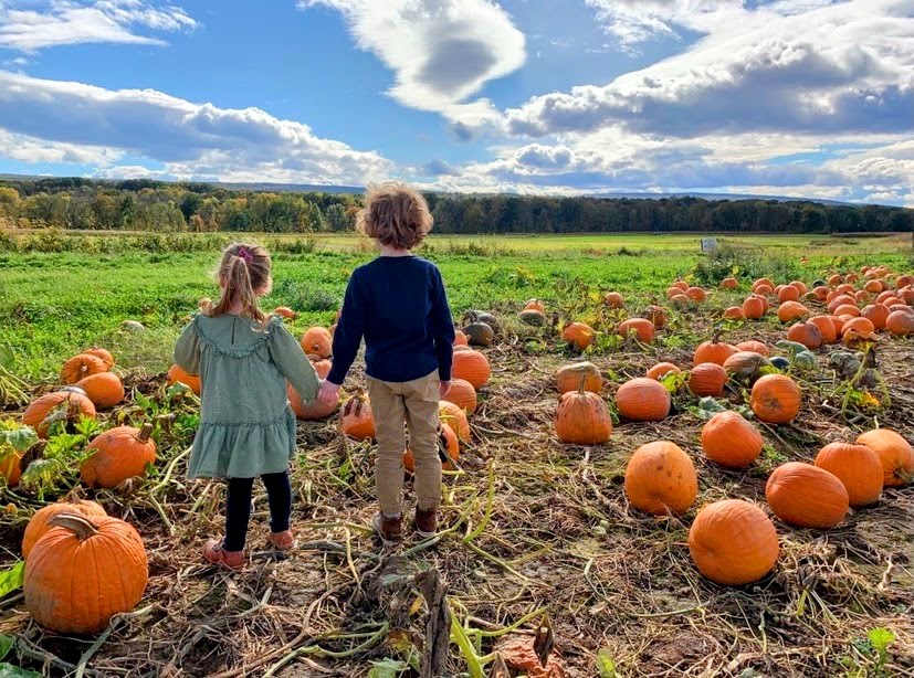 Kelder's Farm - Kerhonkson, NY