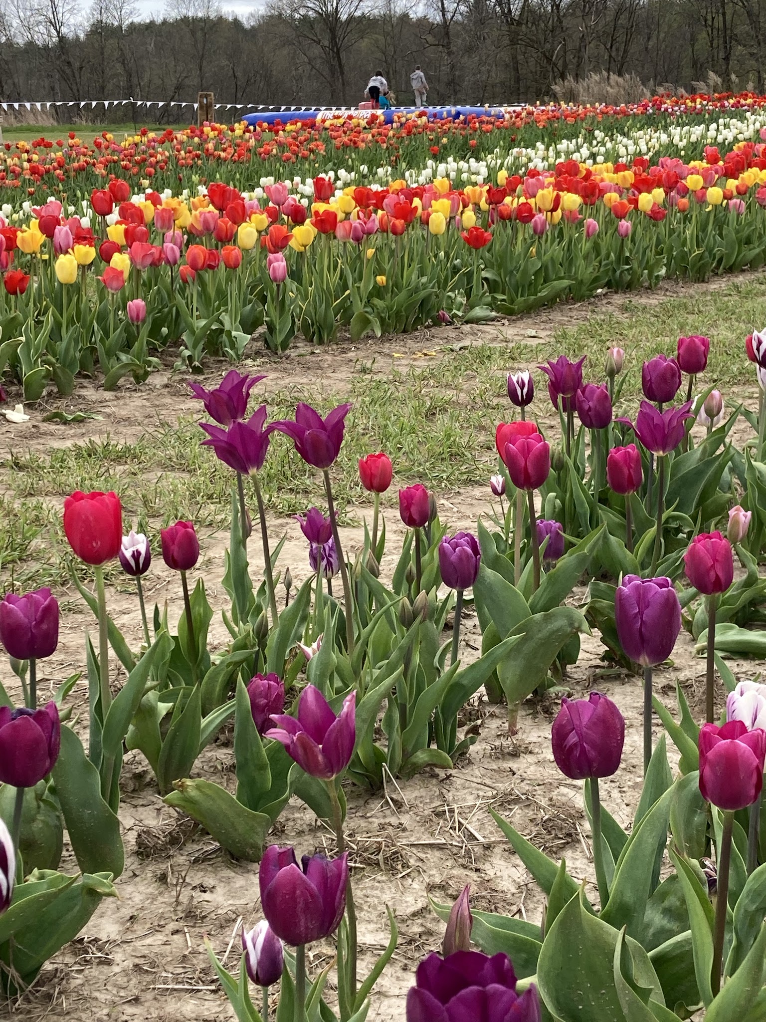 Kelder's Farm - Kerhonkson, NY