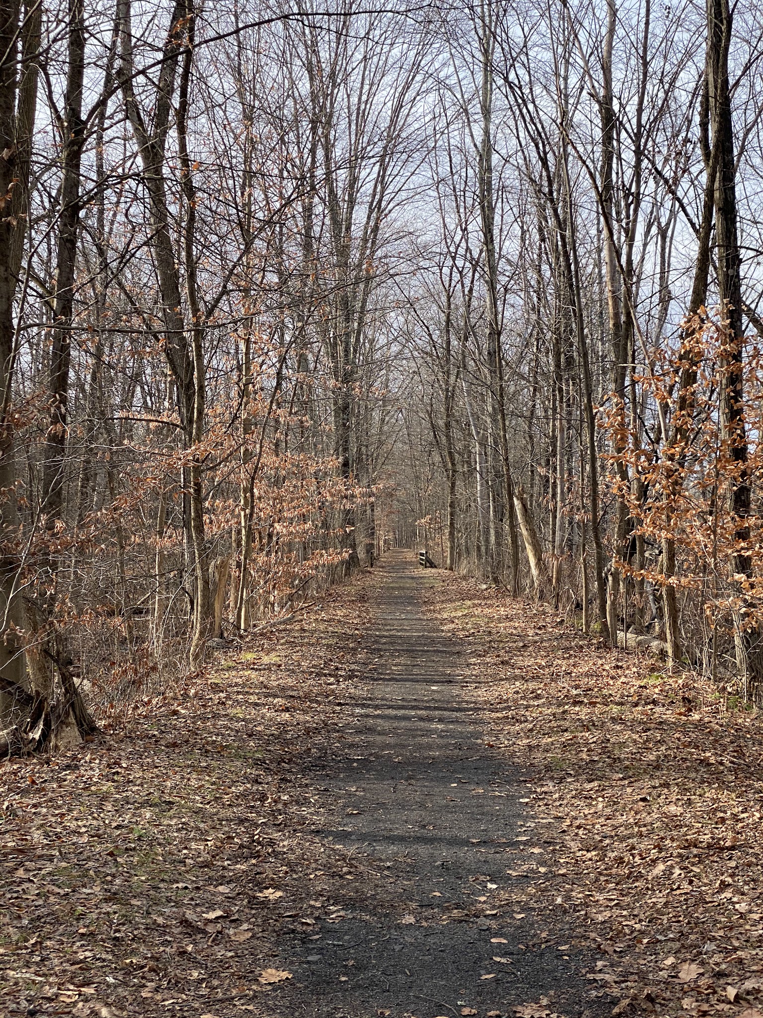 Rail Trail Kerhonkson - Kerhonkson, NY