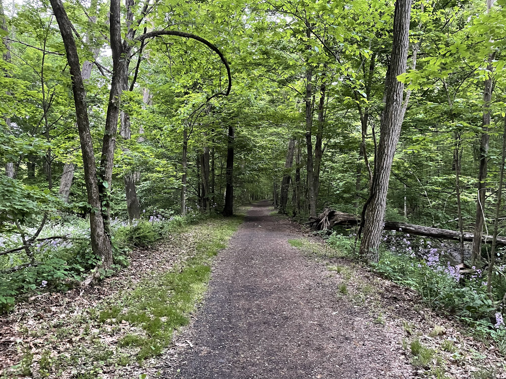 Rail Trail Kerhonkson - Kerhonkson, NY