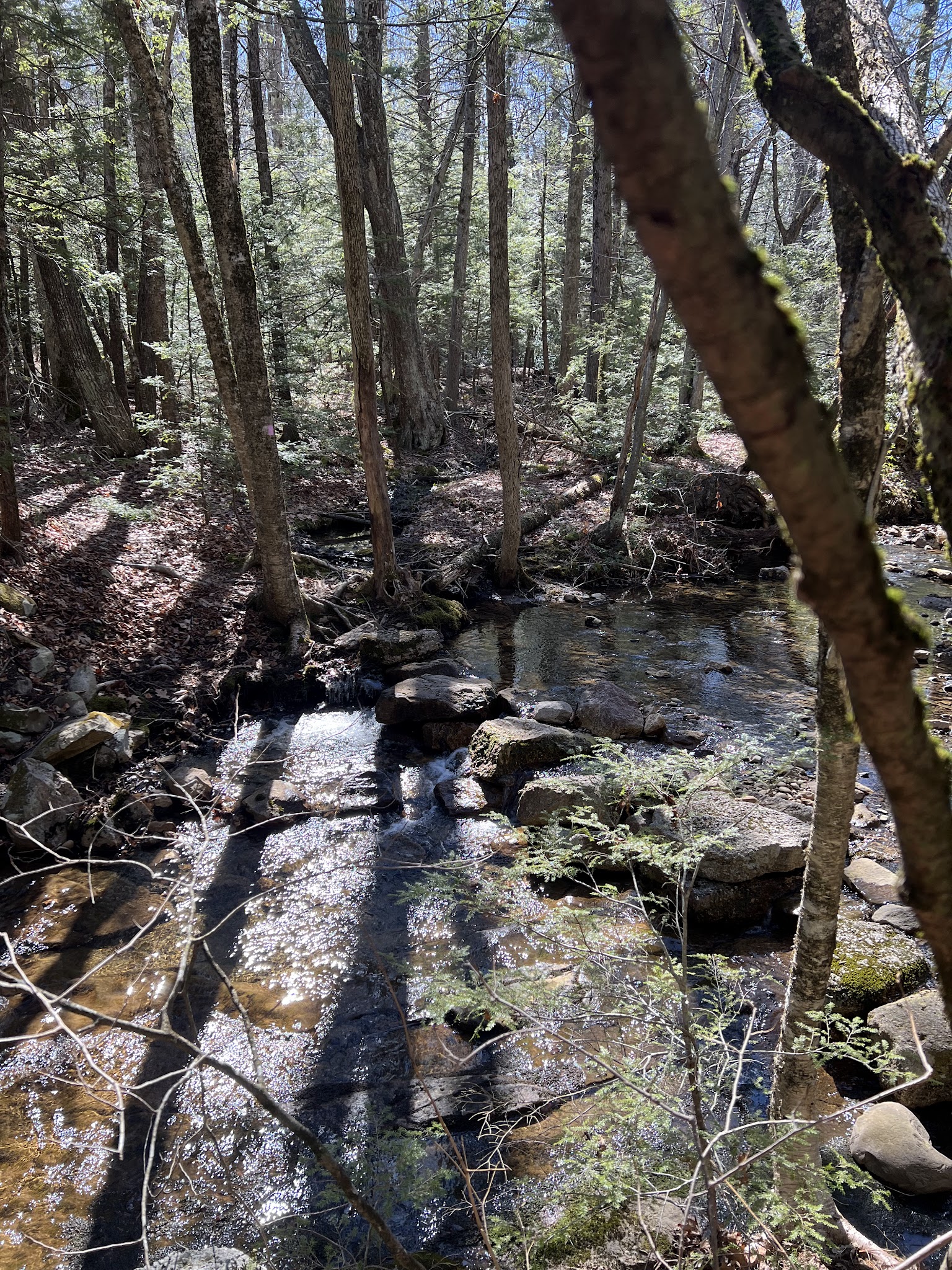 Wawarsing Turnpike Trail - Kerhonkson, NY