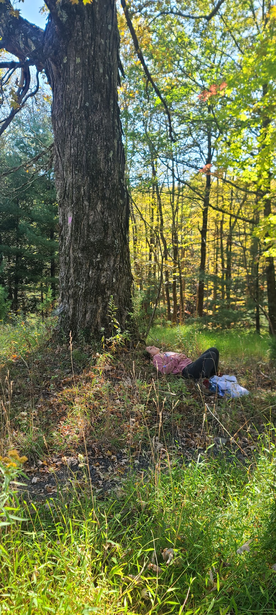 Wawarsing Turnpike Trail - Kerhonkson, NY