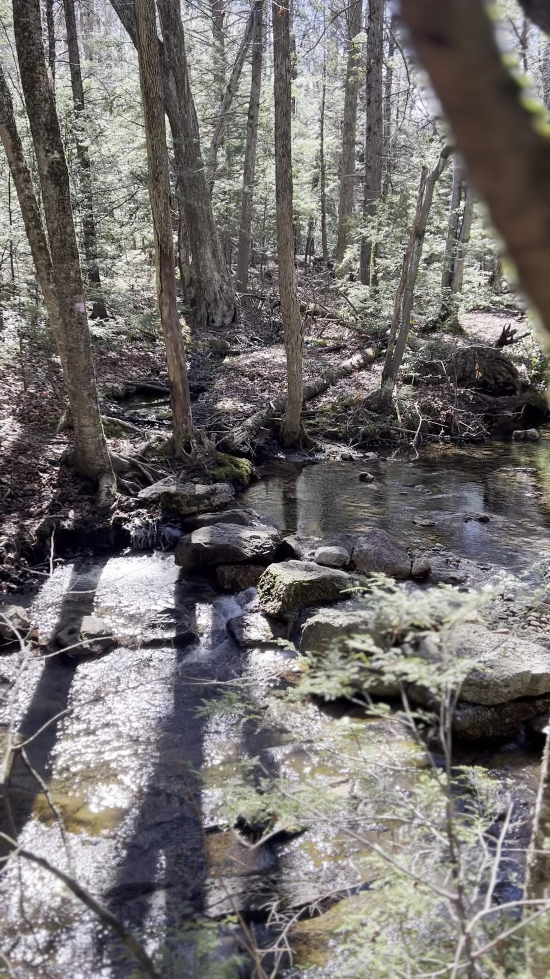 Wawarsing Turnpike Trail - Kerhonkson, NY