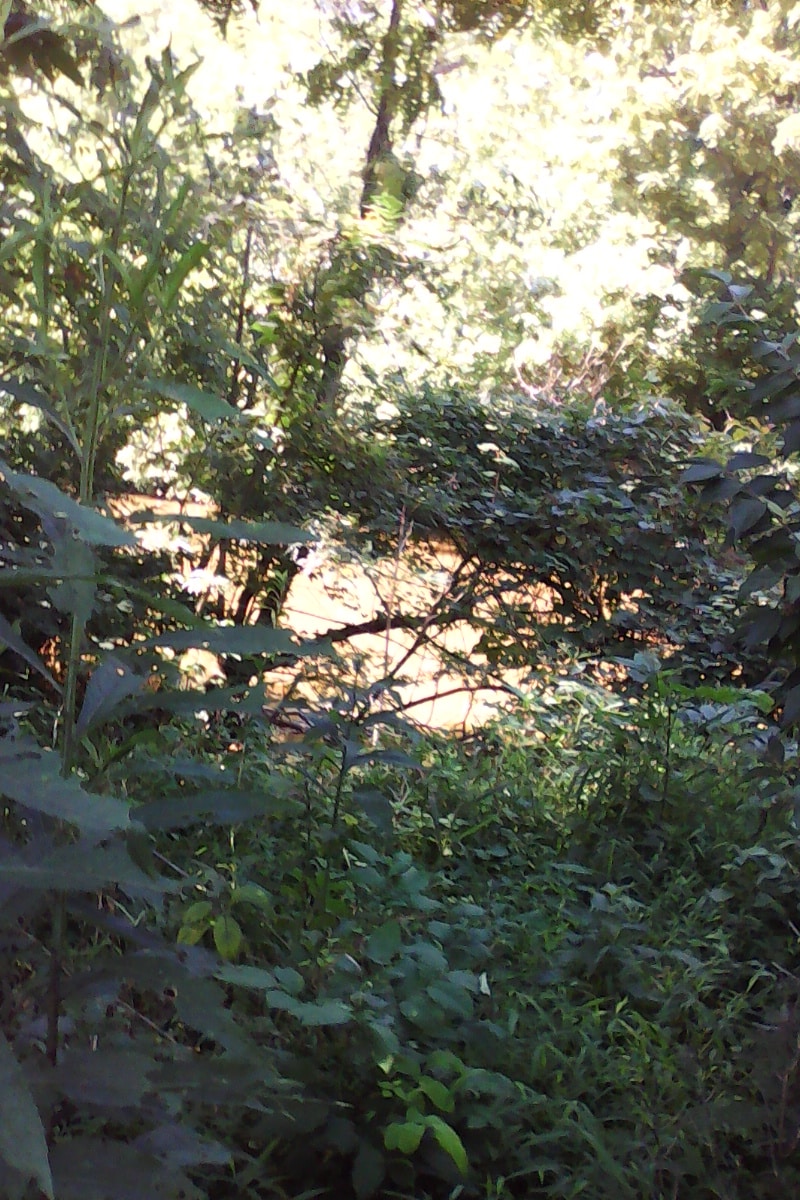 Double Pipe Creek Park - Keymar, MD
