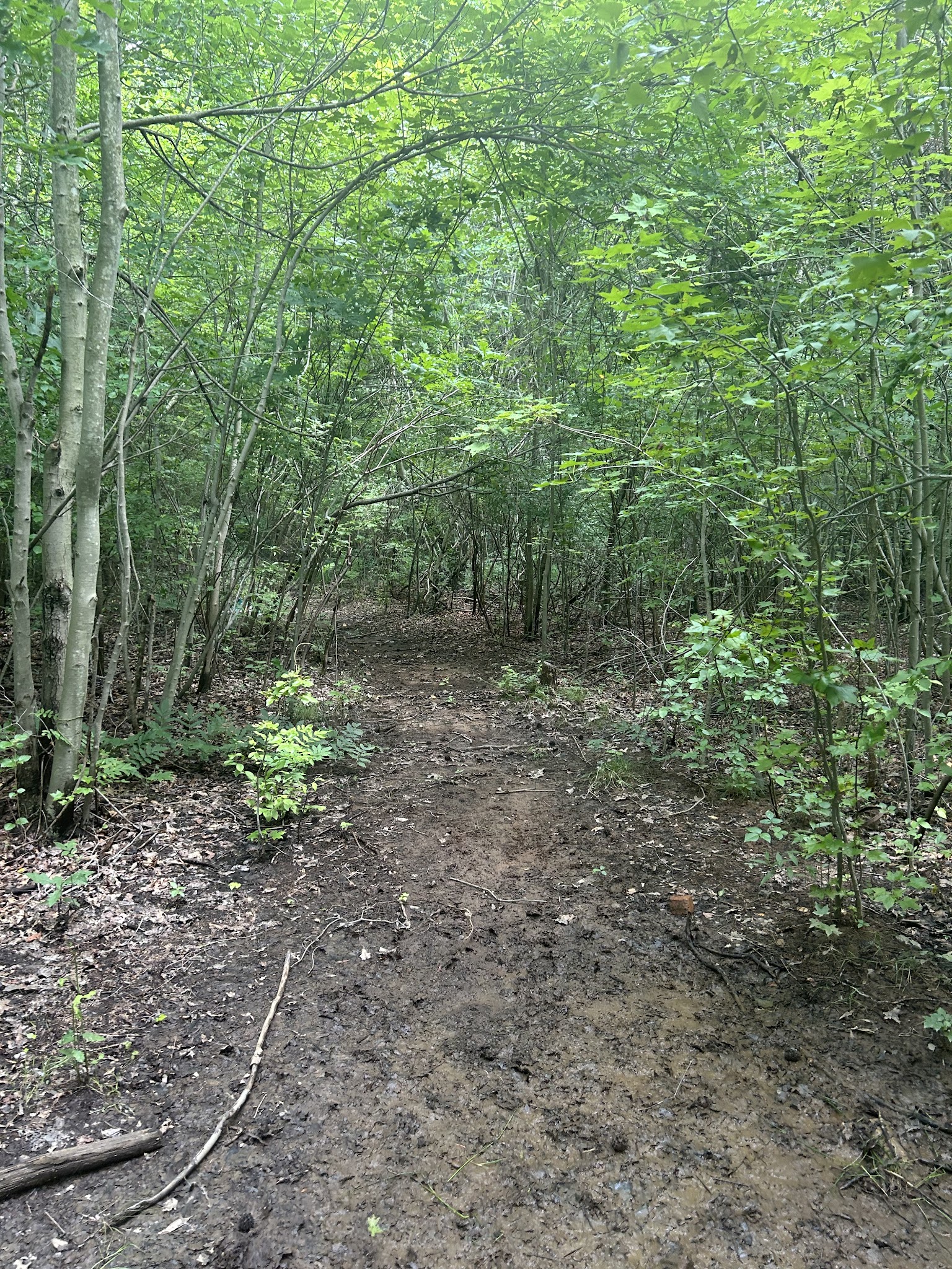Kavanaugh Trail - Keyport, NJ