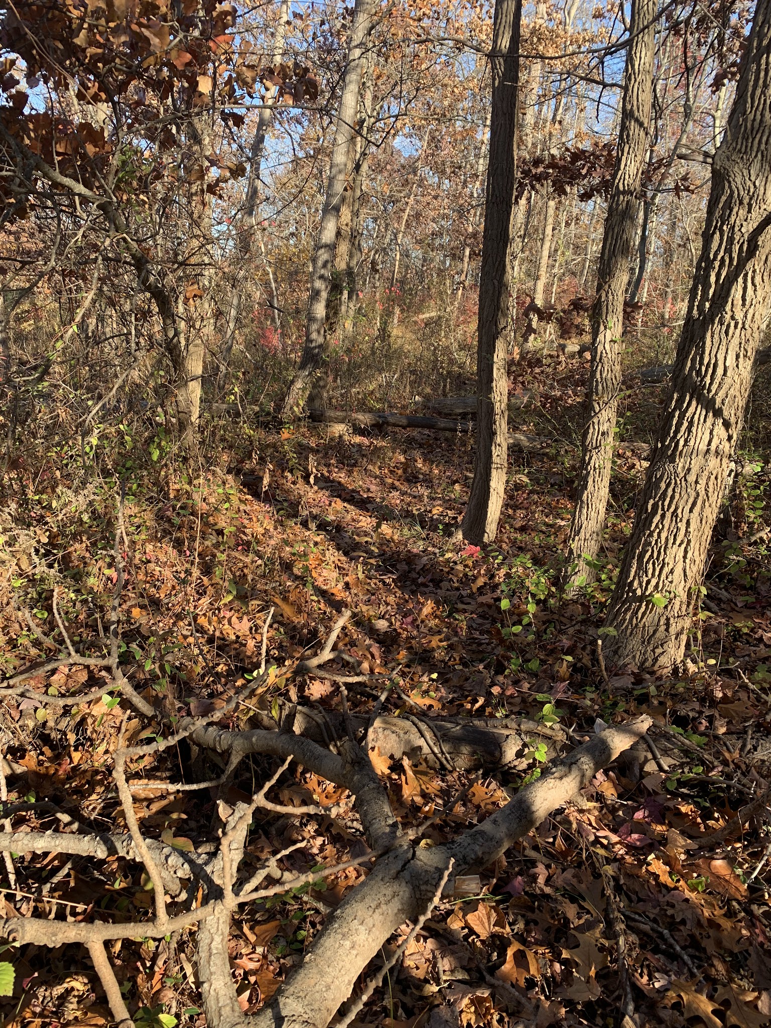 Kavanaugh Trail - Keyport, NJ
